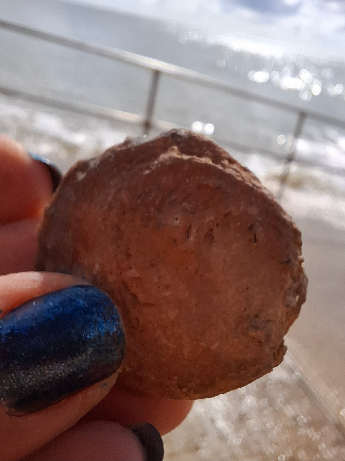 Chalcedony Oyster, Fossil (Ref: FO9)