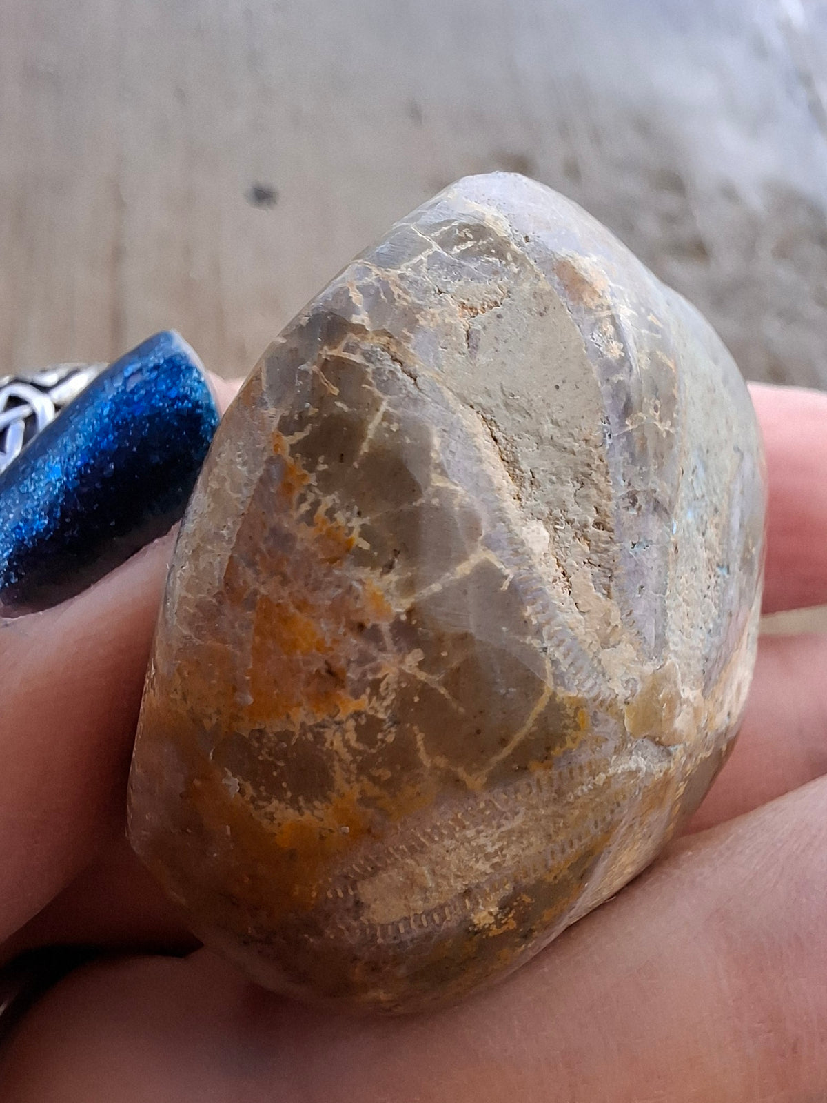 Polished Sea Urchin, Fossil (Ref: SU5)