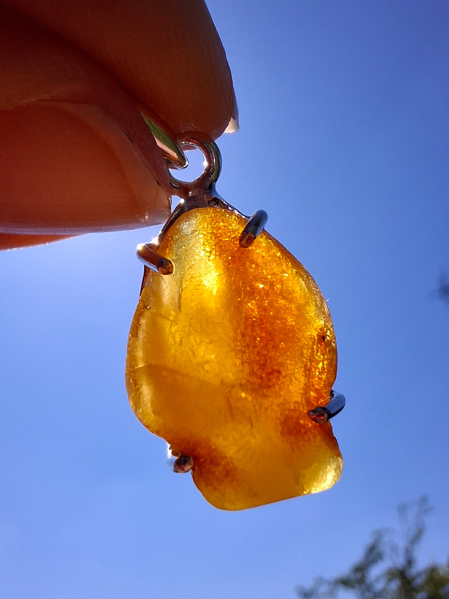Baltic Amber Pendant, 925 Silver, Fossil (Ref: AP5)