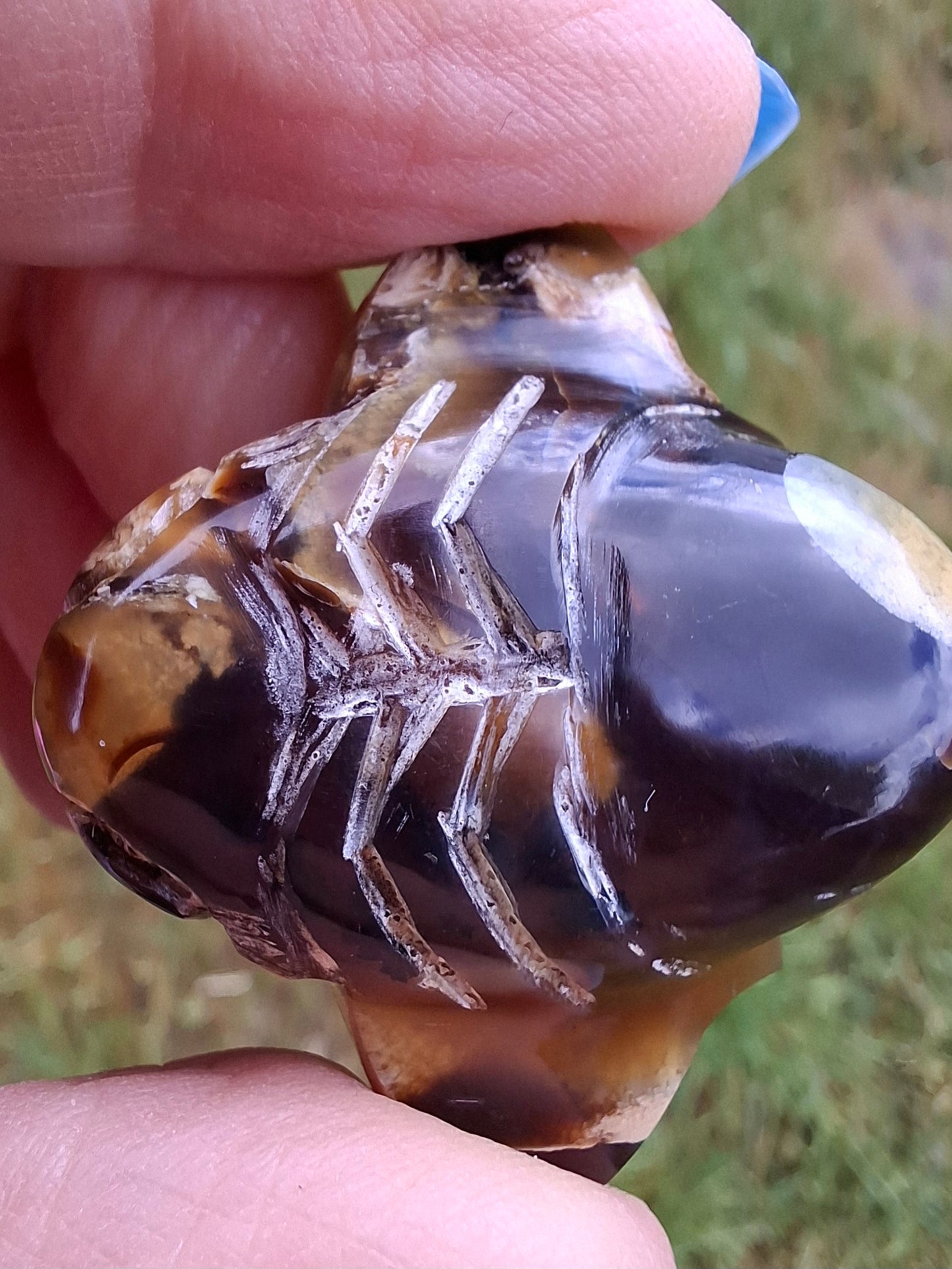 Red Amber Honey Bee Carving, 6.93g, Fossil (Ref: Bee33)