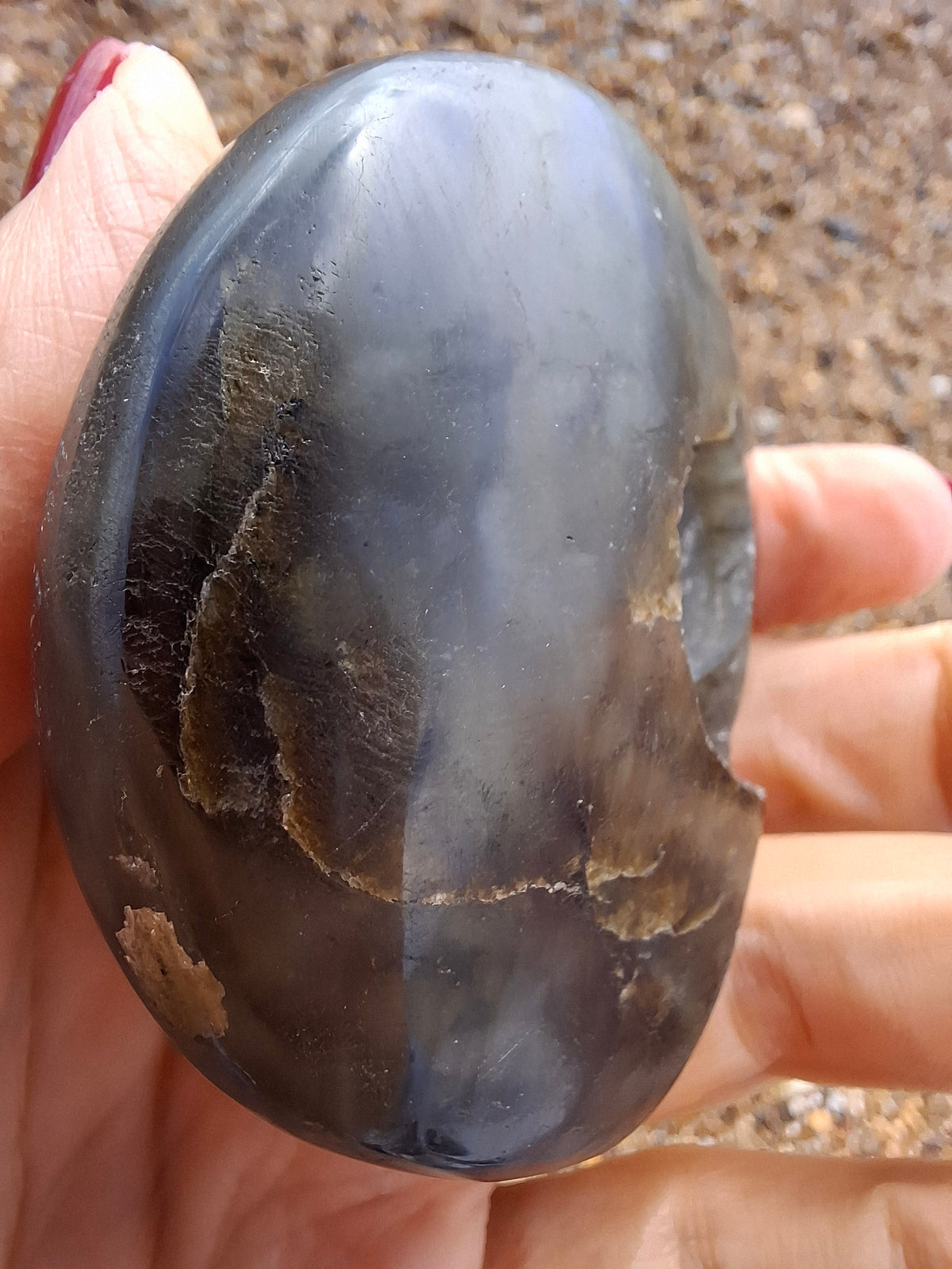 Labradorite Ammonite Carving, 146.90g, Crystal (Ref: laba5)