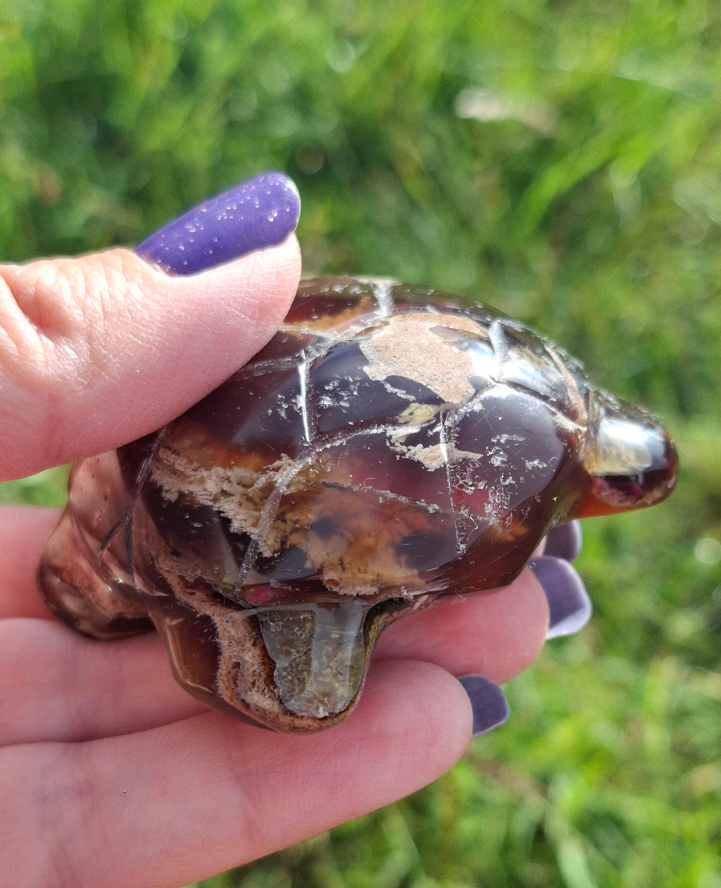 Red Amber Turtle, 56.87g, Carving, Fossil (Ref:TT7)