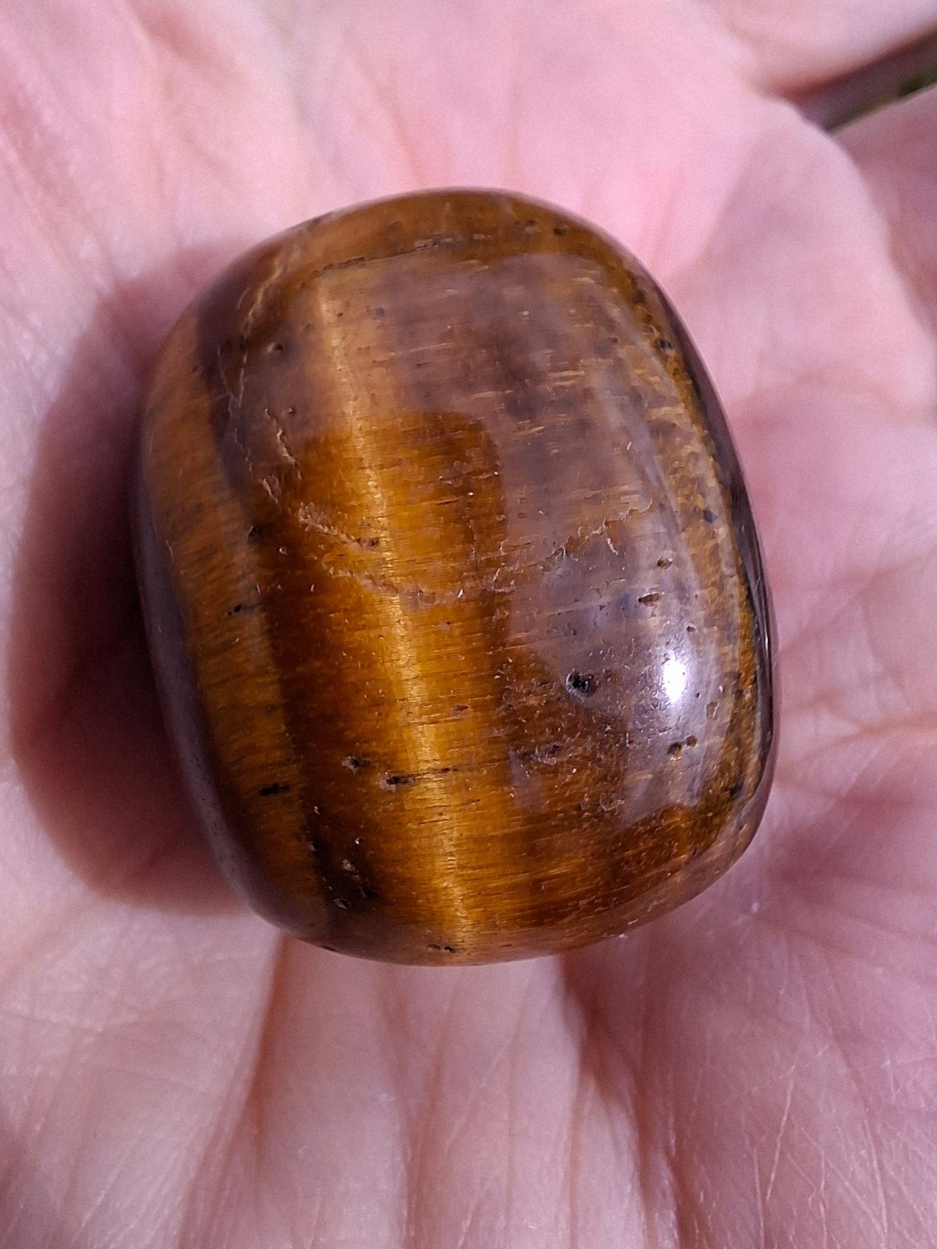 Tigers Eye, Tumble Stone, Crystal (Ref: T128)