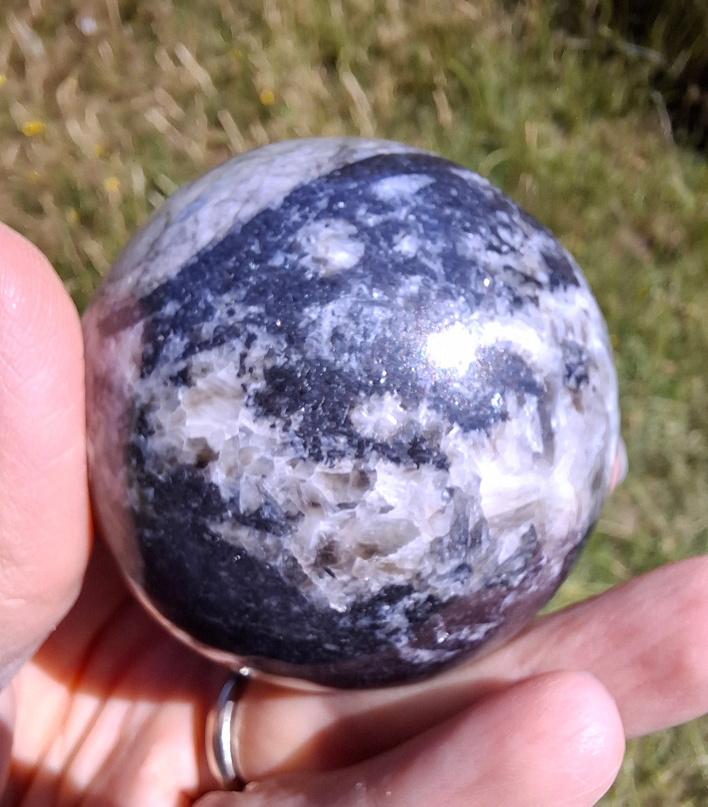 Orthoceras Sphere, Fossil (Ref: OS2)