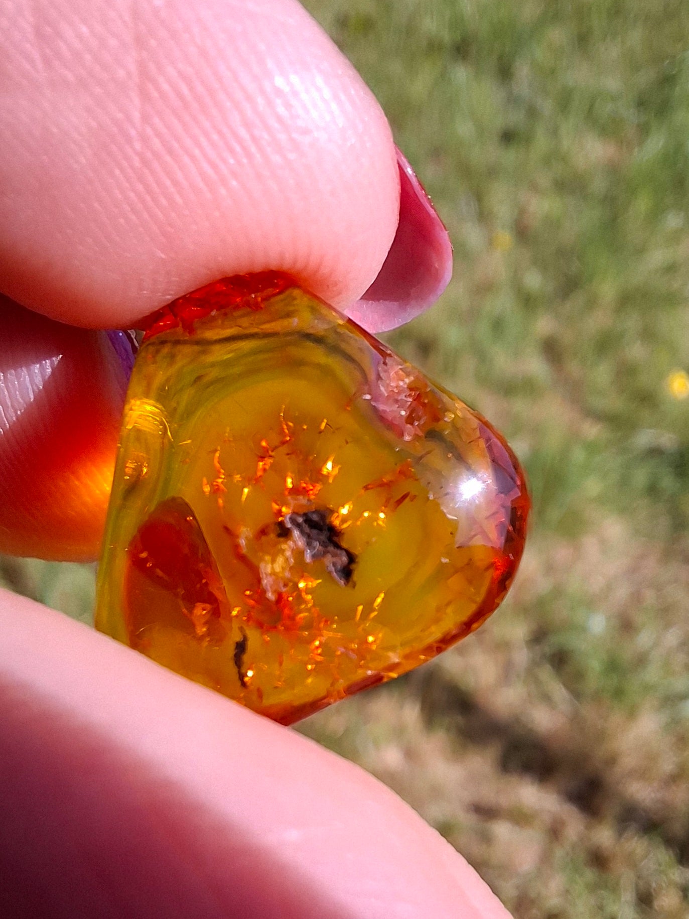 Baltic Amber, 0.97g, Fossil (Ref: A249)