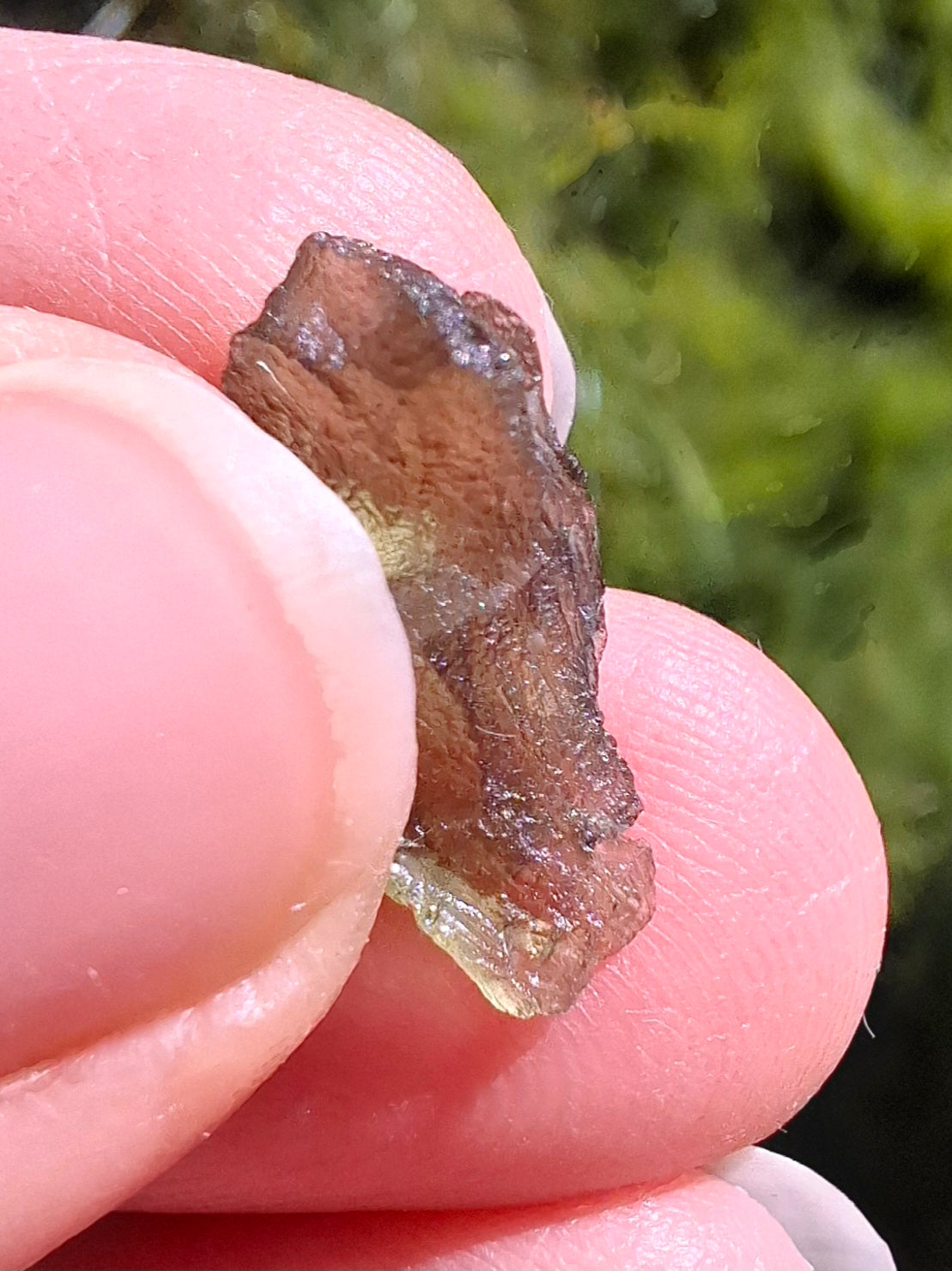 DRILLED, Moldavite Piece, 0.75g, Tektite (Ref: D23)