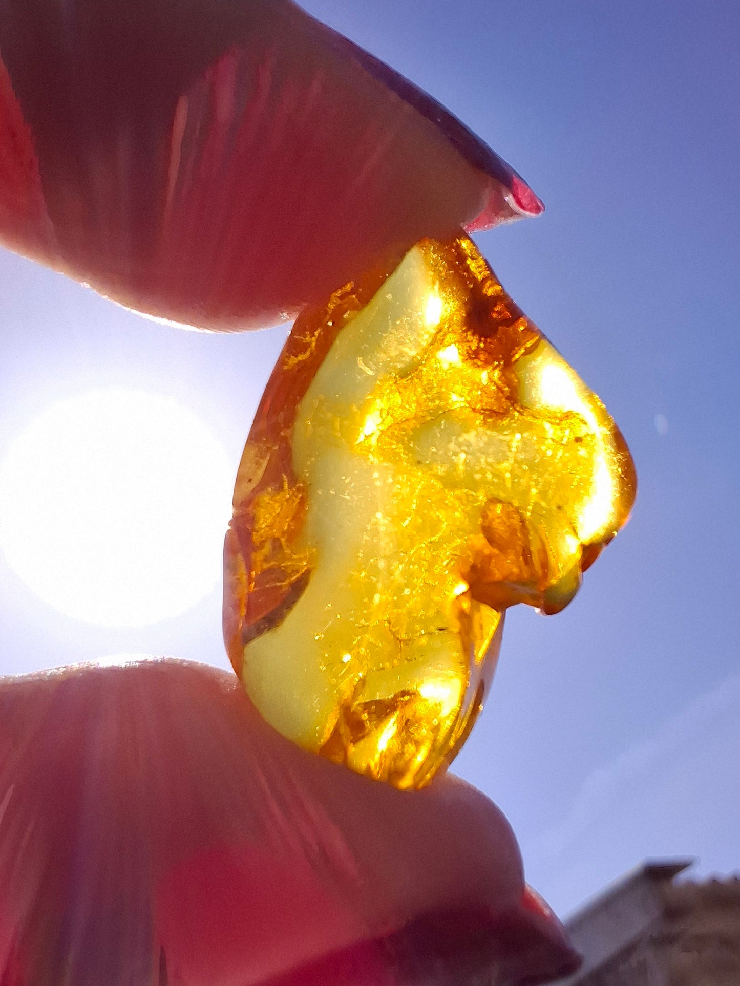 Baltic Amber, 1.31g, Fossil (Ref: A234)