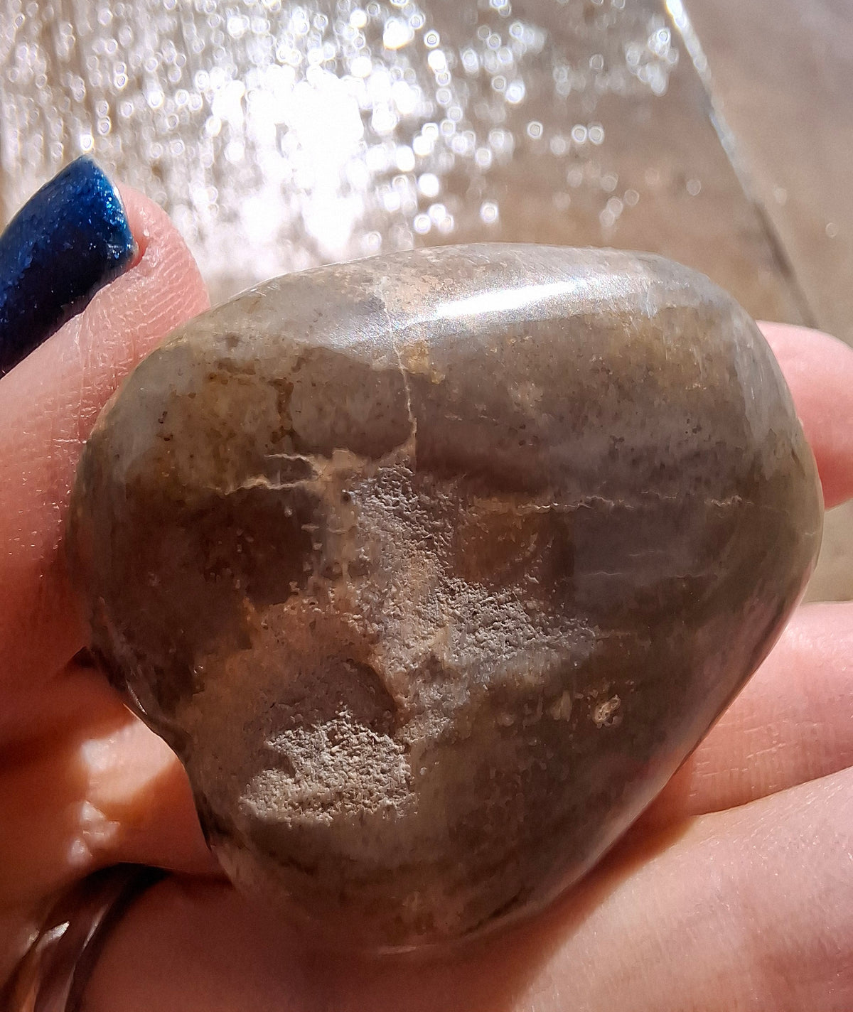 Polished Sea Urchin, Fossil (Ref: SU3)