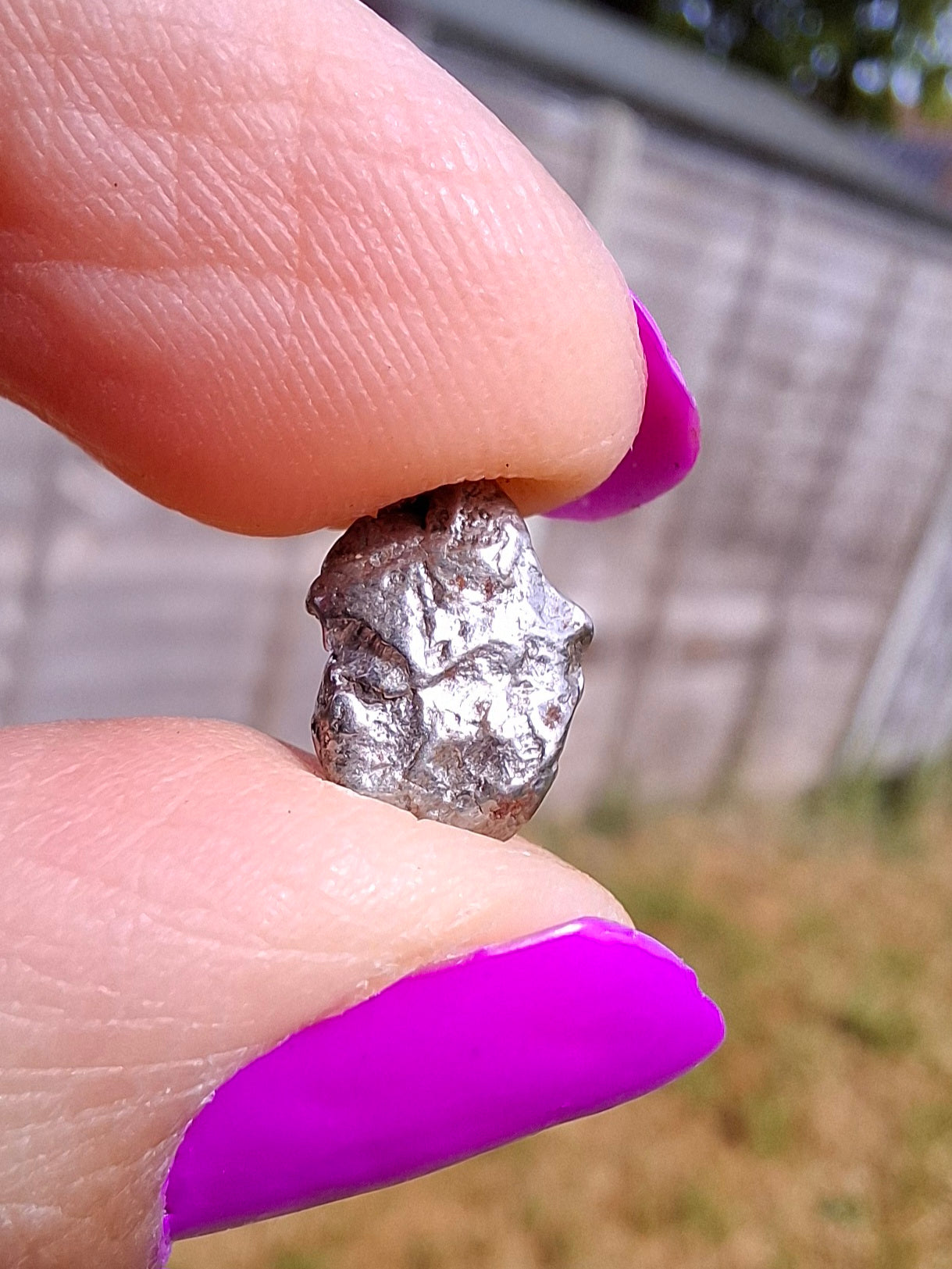 Campo del Cielo, 0.96g, Nickel Iron Meteorite (Ref: C7)