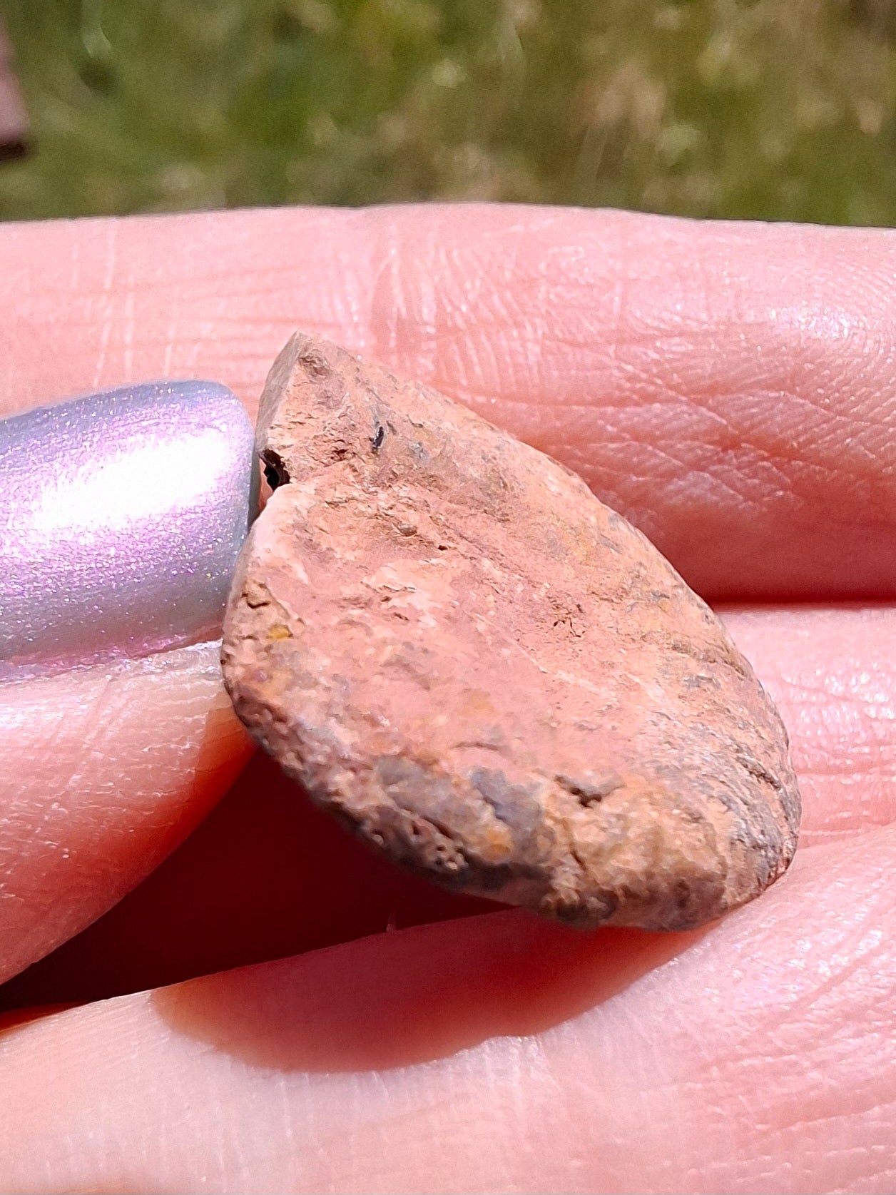 Small Haematite Ammonite HALF, 1.66g, Fossil (Ref: MA2)