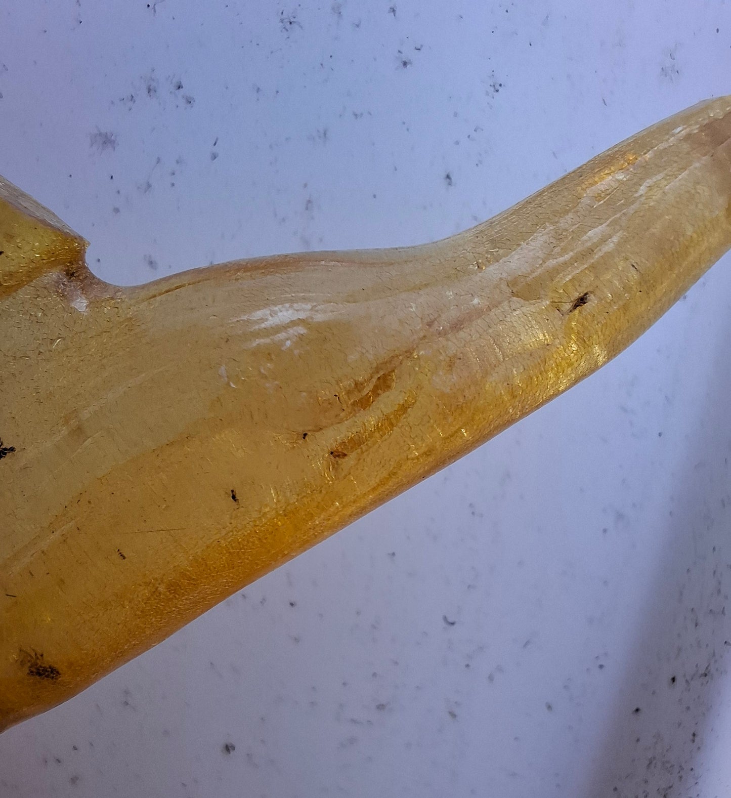 Copal Young Amber with INSECTS inside, 10.79g, Fossil (Ref: CA14)