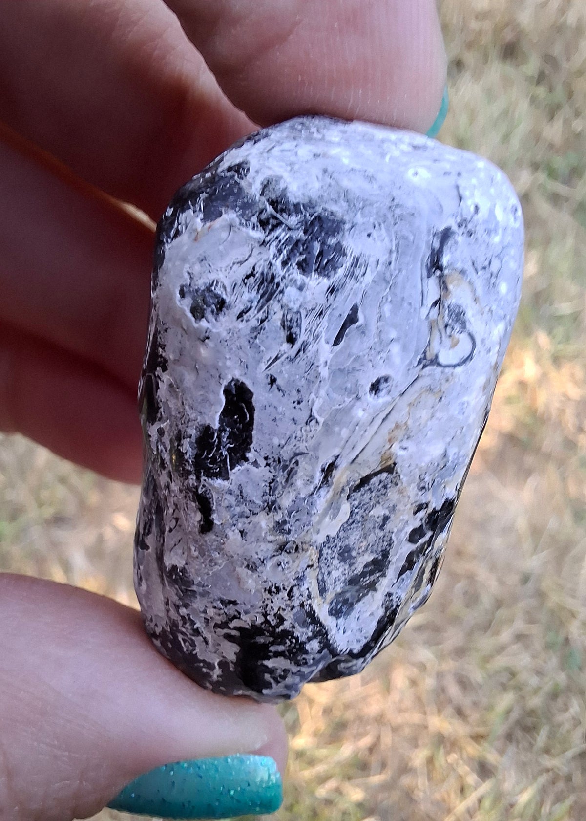 Apache Tear, Crystal (Ref: ApT2)