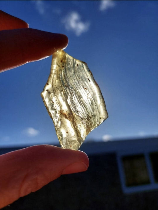Copal Young Amber with INSECTS inside, 6.42g, Fossil (Ref: CA38)