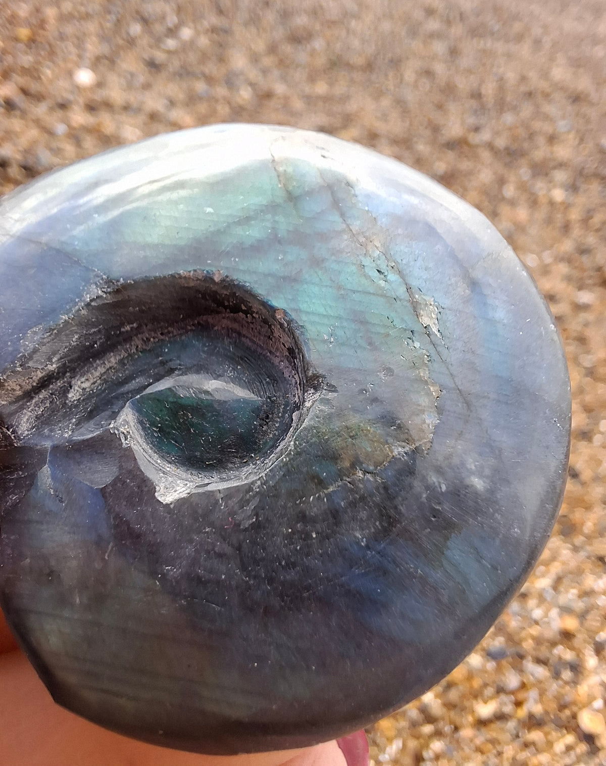 Labradorite Ammonite Carving, 111.66g, Crystal (Ref: laba3)