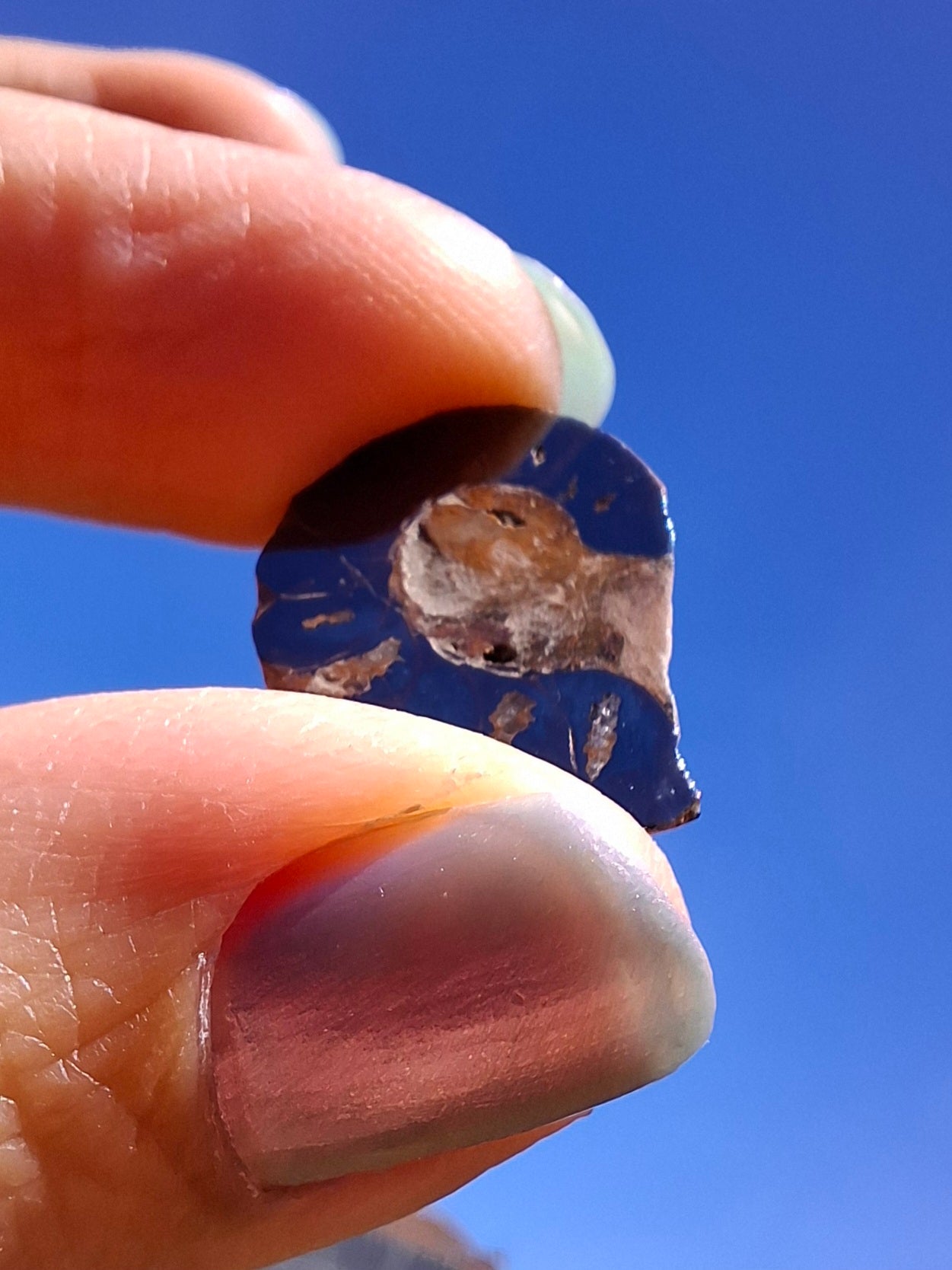 Small Haematite Ammonite Halves BUNDLE, (7 pcs), Fossil (Ref: MA13)