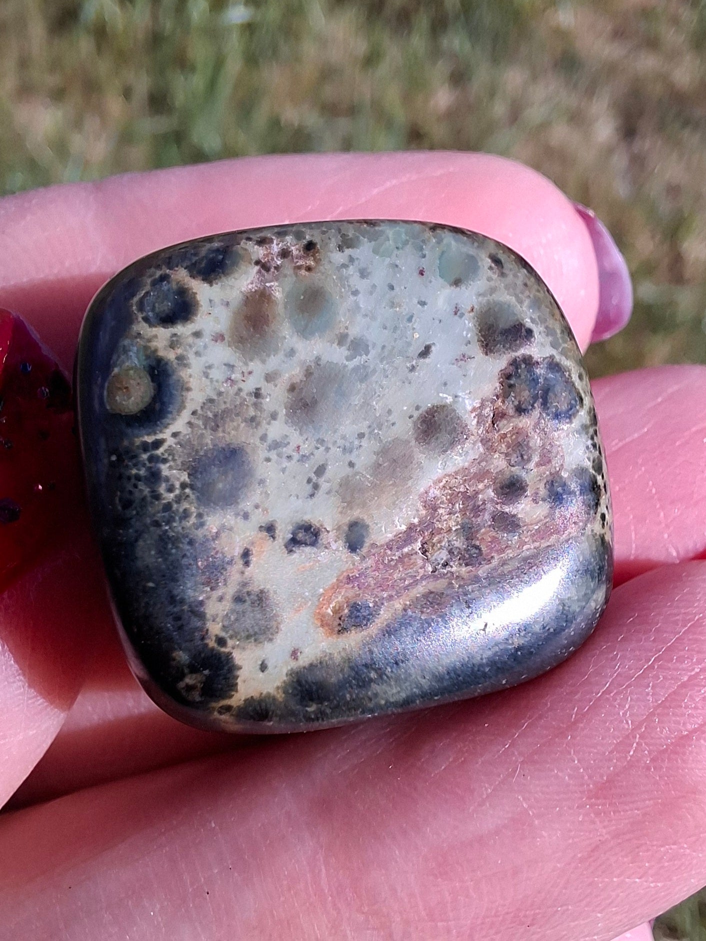 Kambaba Jasper, Tumble Stone, Crystal (Ref: T162)