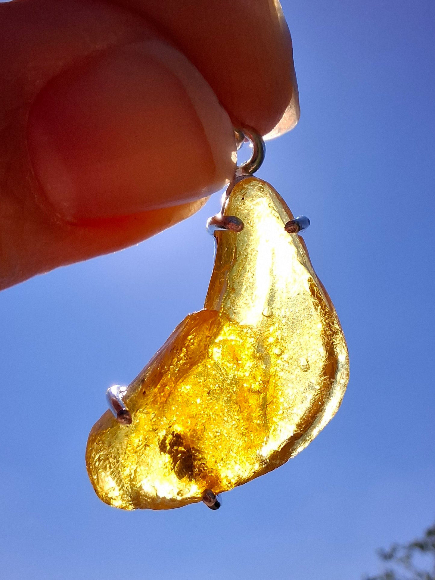 Baltic Amber Pendant, 925 Silver, Fossil (Ref: Ap1)