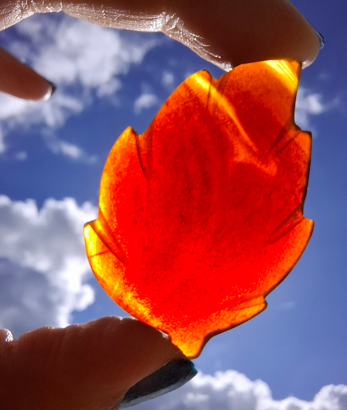 Red Amber Leaf Carving, 8.45g, Fossil (Ref: Leaf1)