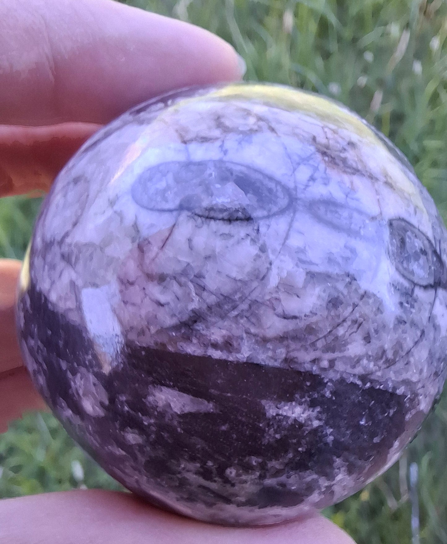 Orthoceras Sphere, Fossil (Ref: OS2)
