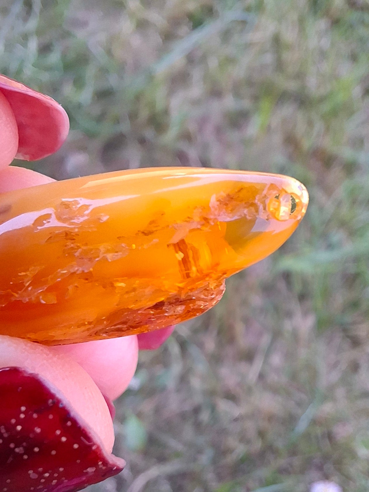 Baltic Amber, 1.68g, Fossil (Ref: A233)