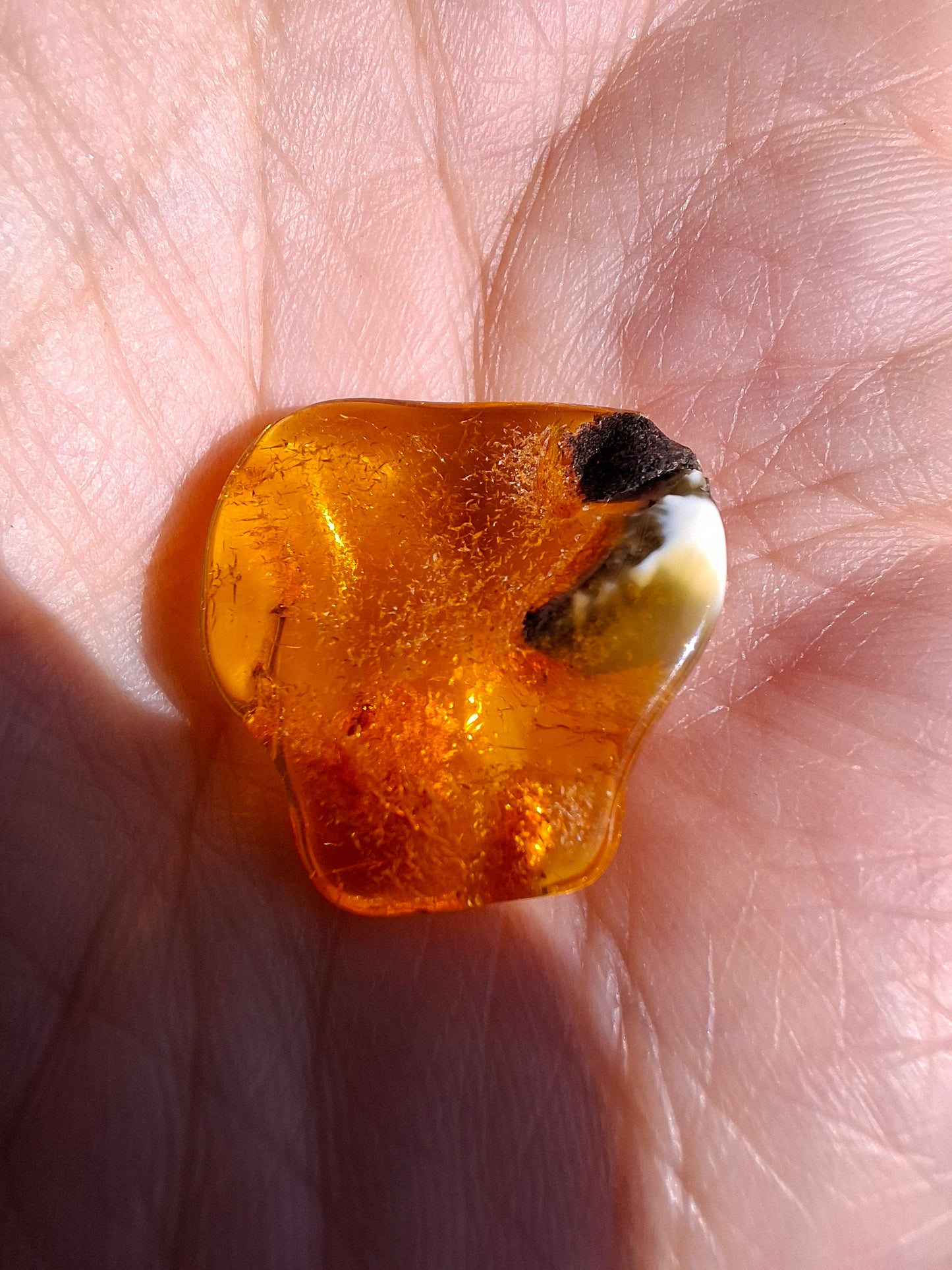 Baltic Amber, 1.45g, Fossil (Ref: A76)