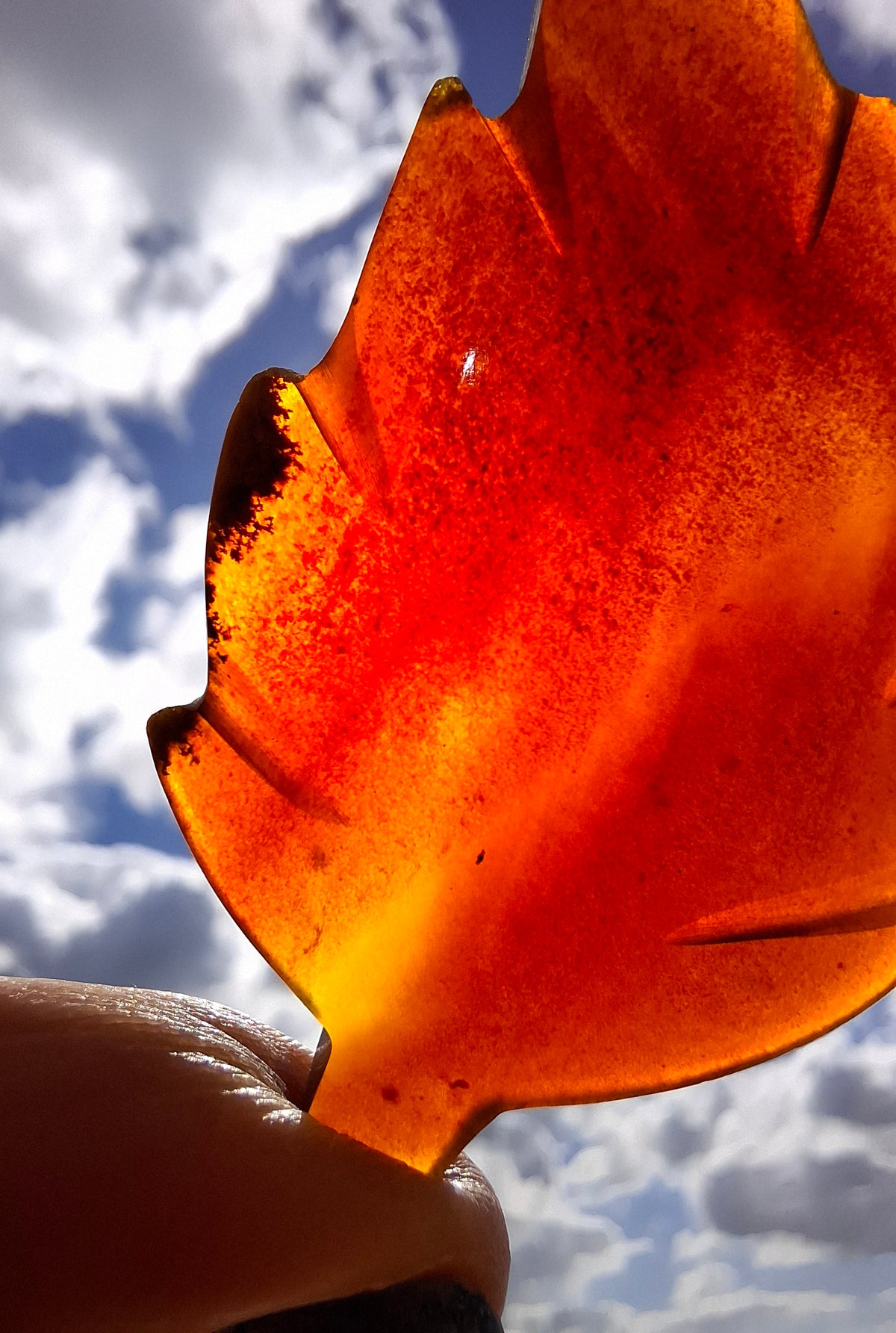 Red Amber Leaf Carving, 7.03g, Fossil (Ref: Leaf11)