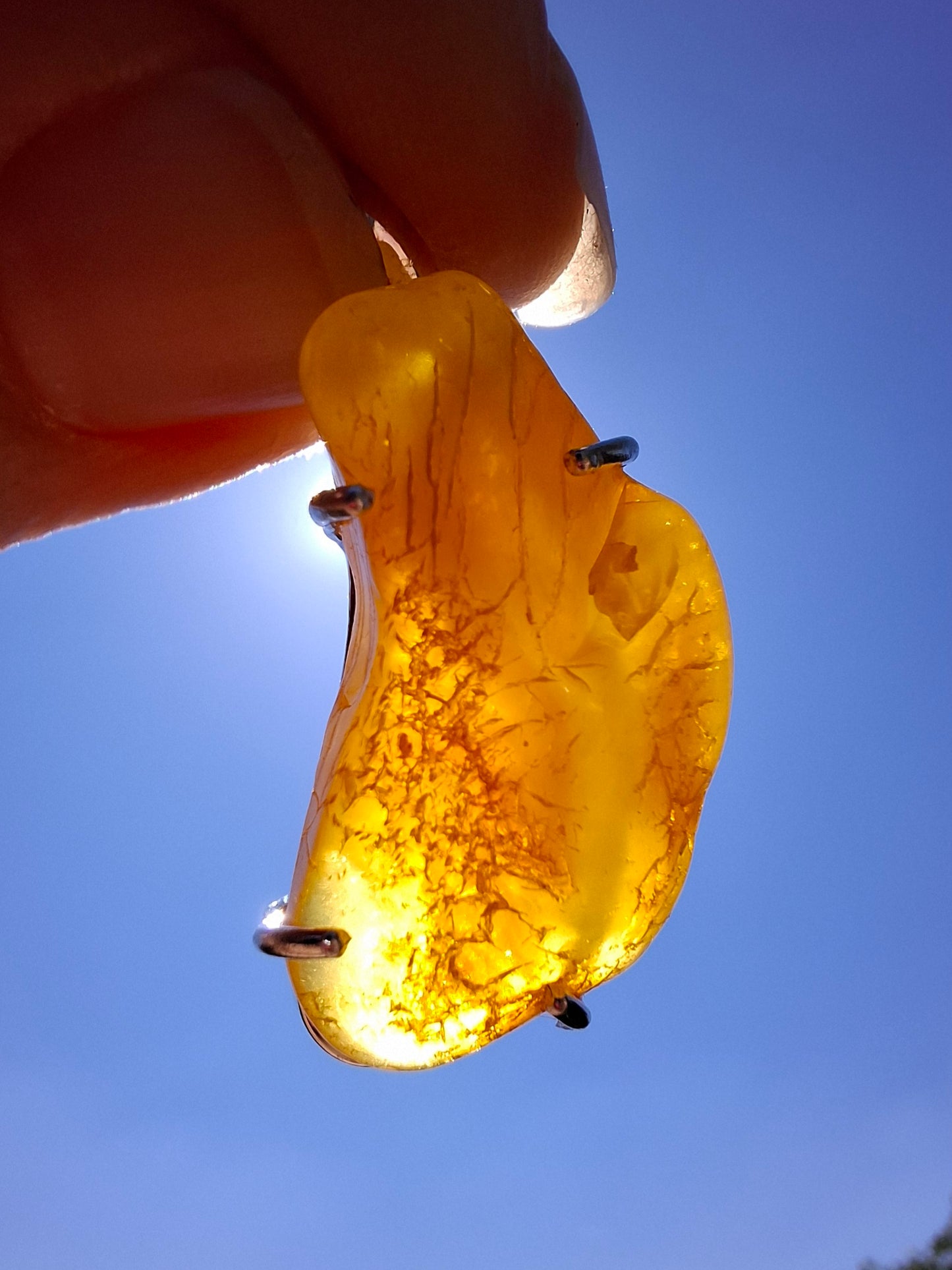 Baltic Amber Pendant, 925 Silver, Fossil (Ref: AP7)