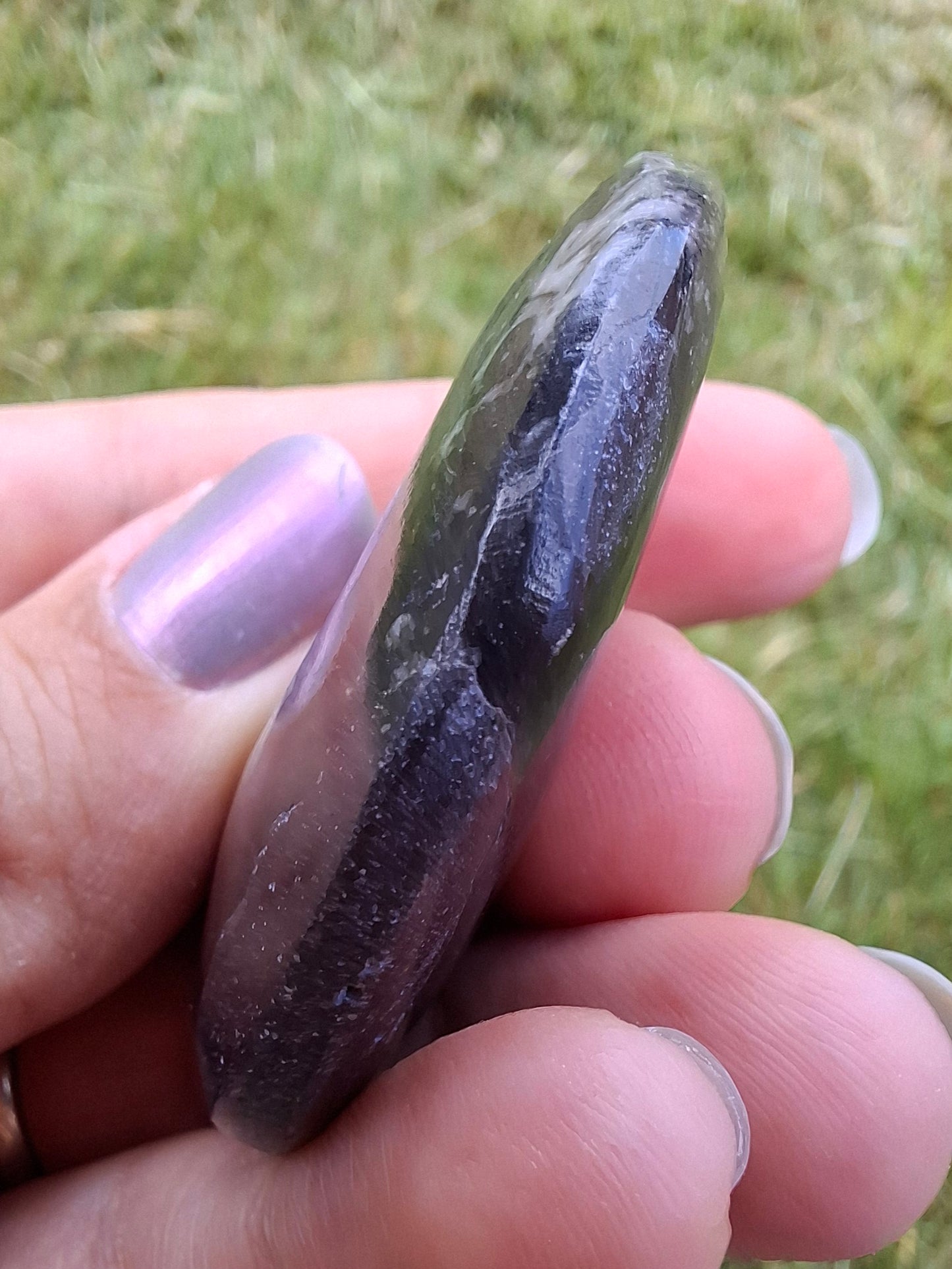 Goniatite, Fossil (Ref: GA5)