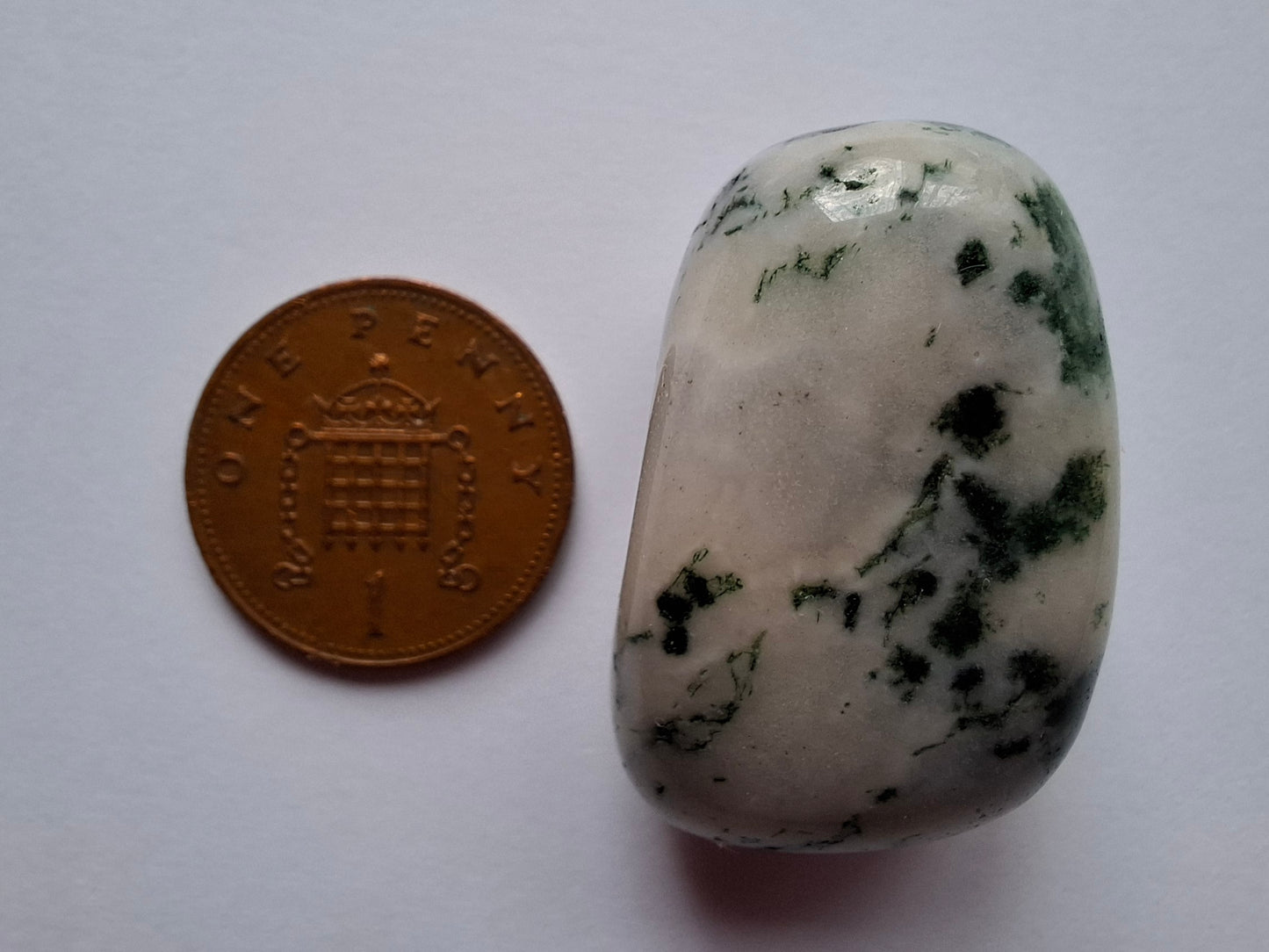 Tree Agate, Tumble Stone, Crystal (Ref: T1)