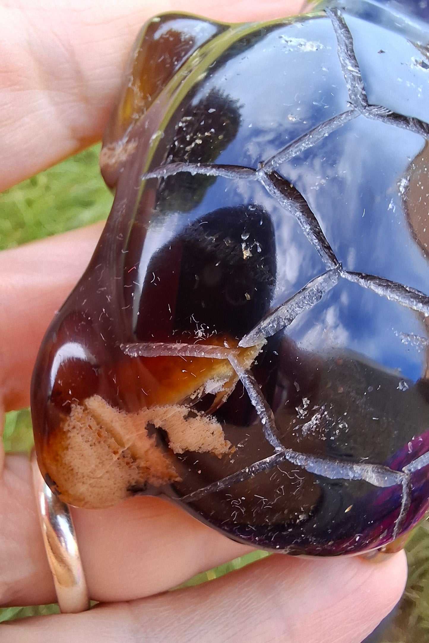 Red Amber Turtle, 56.87g, Carving, Fossil (Ref: TT2)