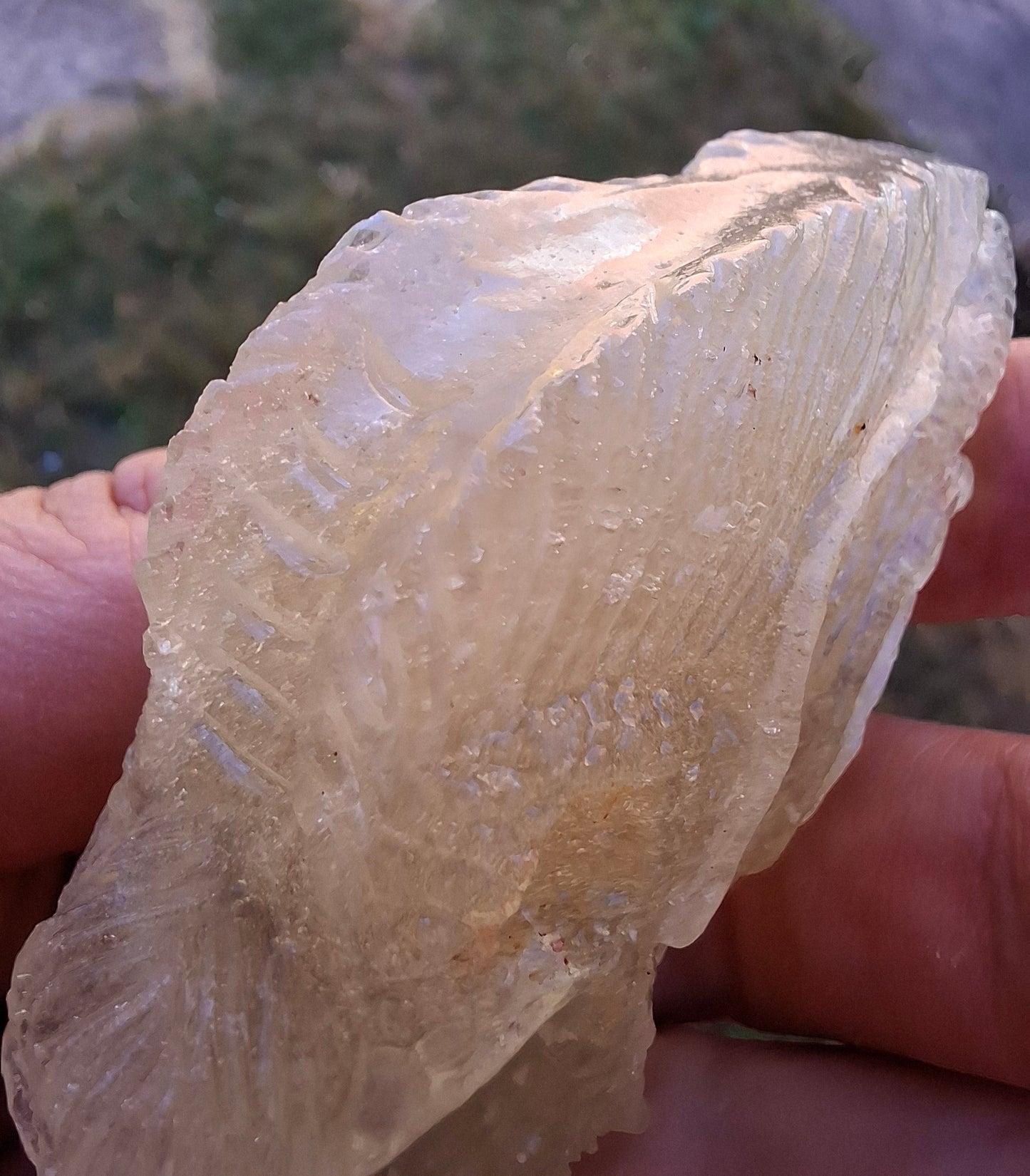 Libyan Desert Glass DRAGON HEAD Carving, 75.84g, Tektite (Ref: Dragon1)