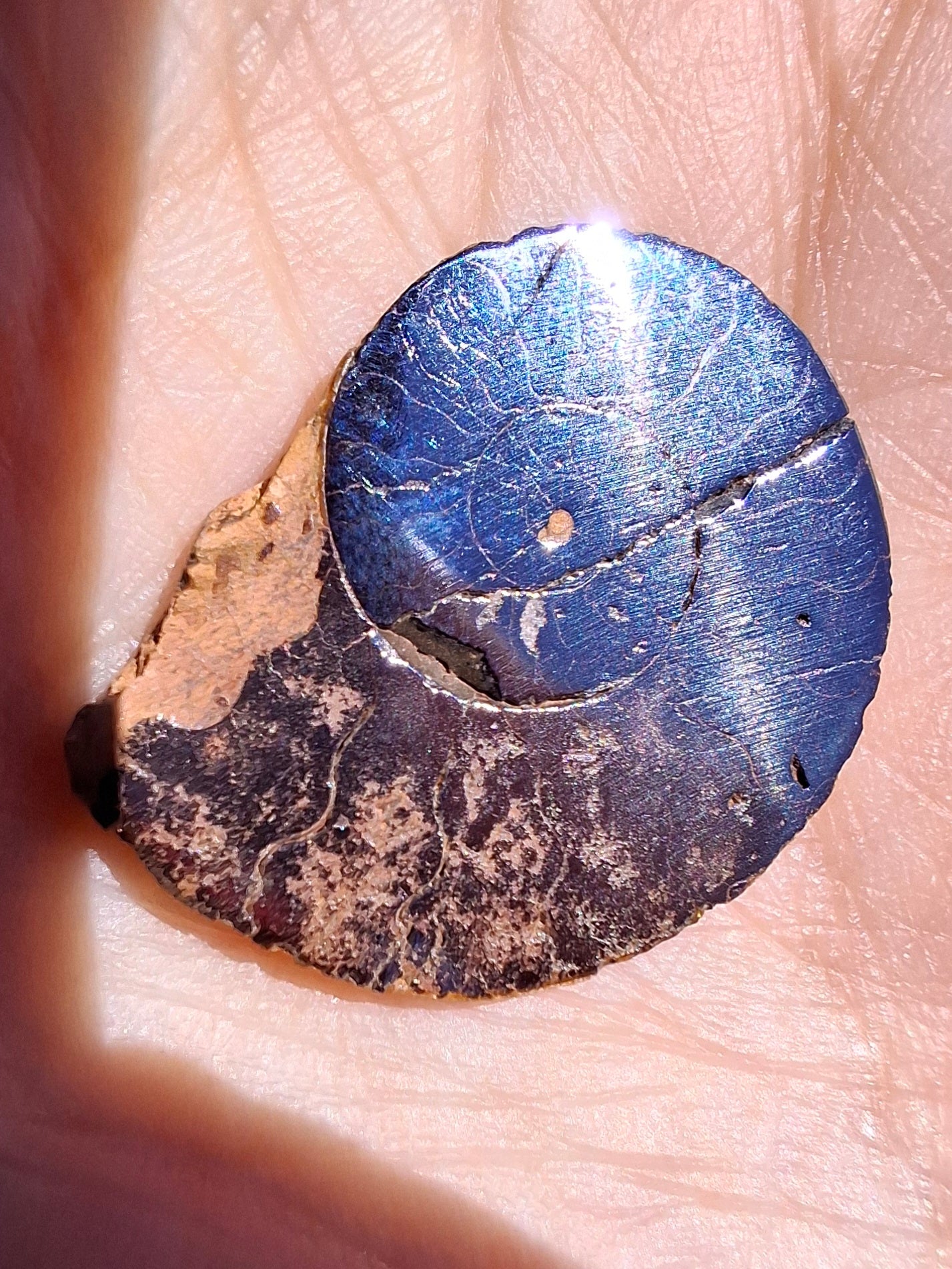 Small Haematite Ammonite HALF, 2.24g, Fossil (Ref: MA10)