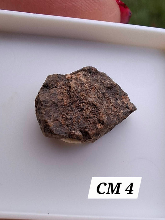Chrondrite, Meteorite (Ref: CM4)