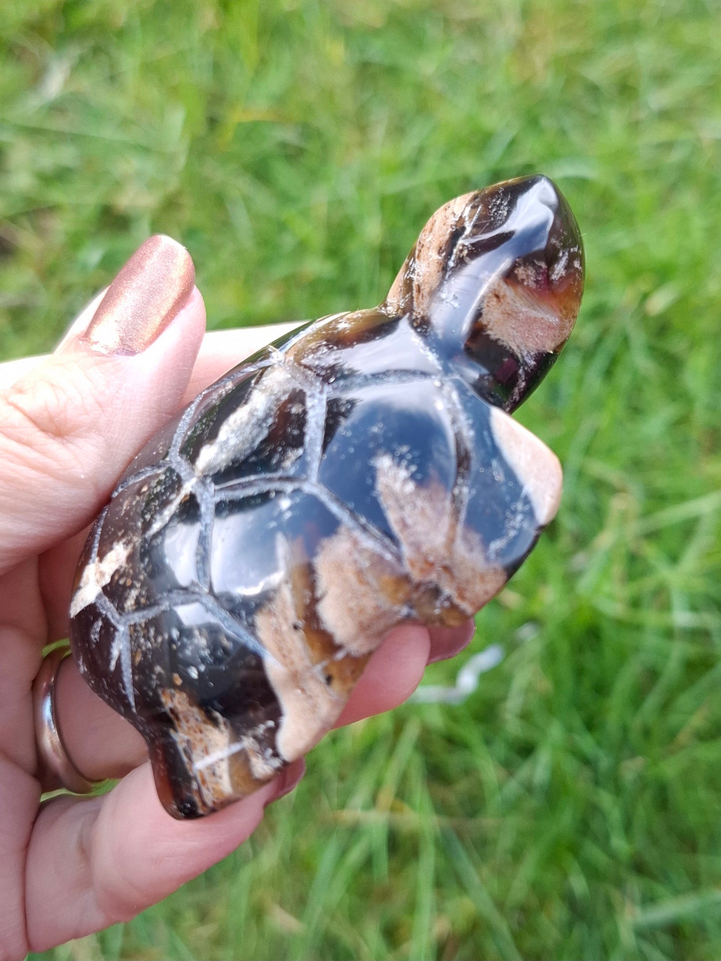 Red Amber Turtle, 50.00g, Carving, Fossil (Ref: TT6)