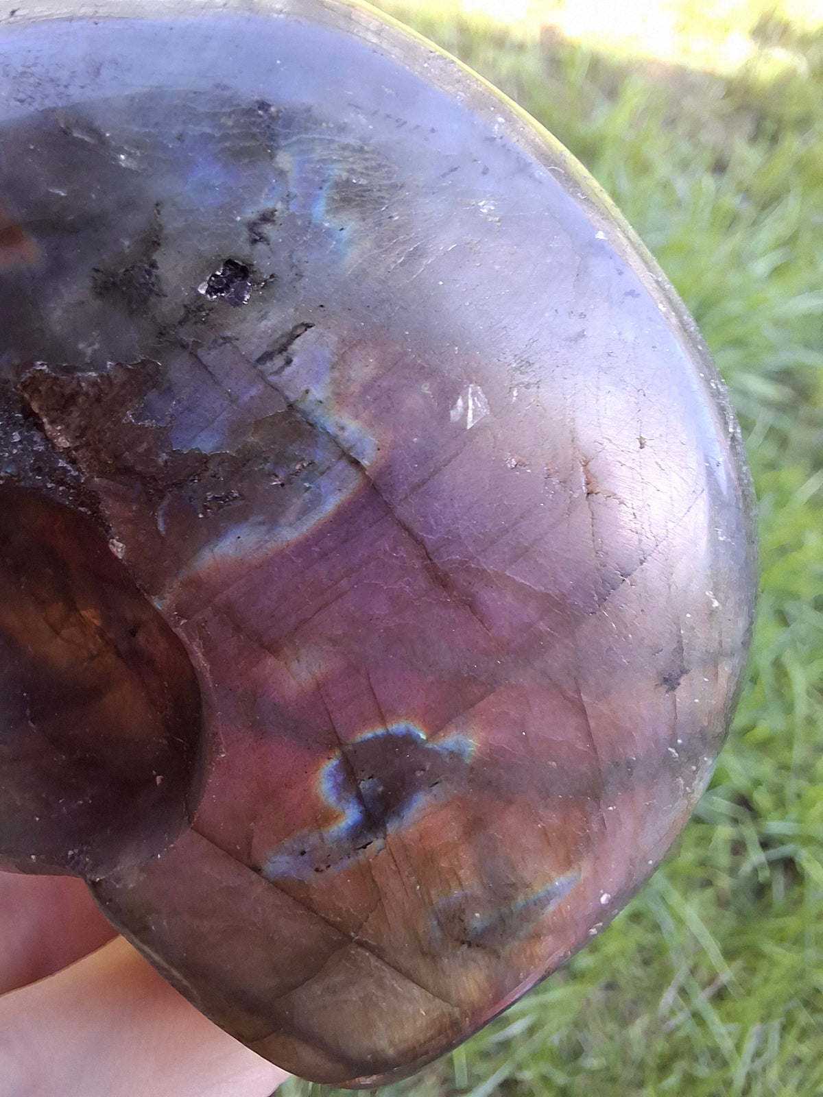 Labradorite Ammonite Carving, 146.90g, Crystal (Ref: laba5)