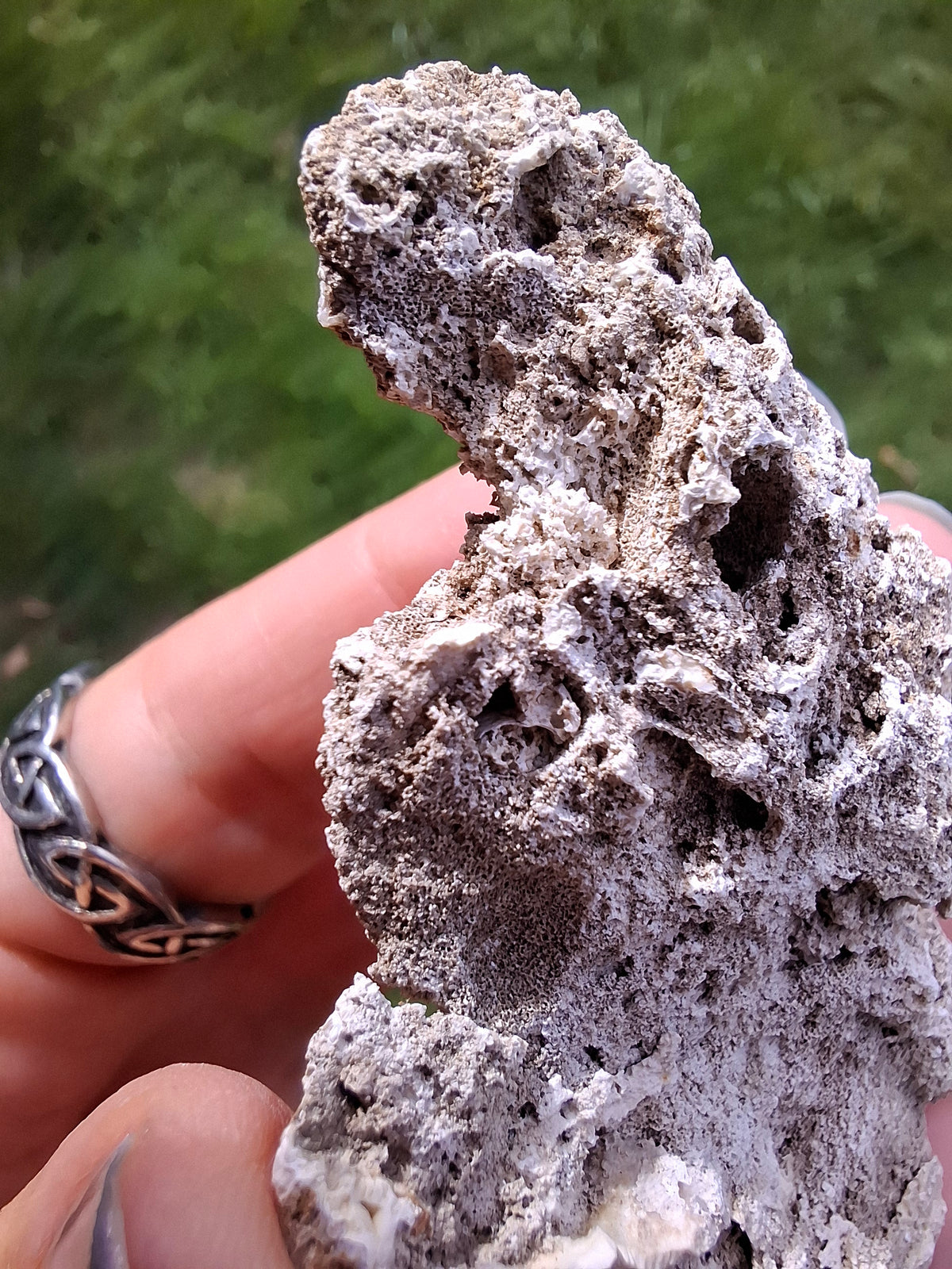 Fossilised Coral replaced by Chalcedony/Agate, Fossil (Ref: FCA2)