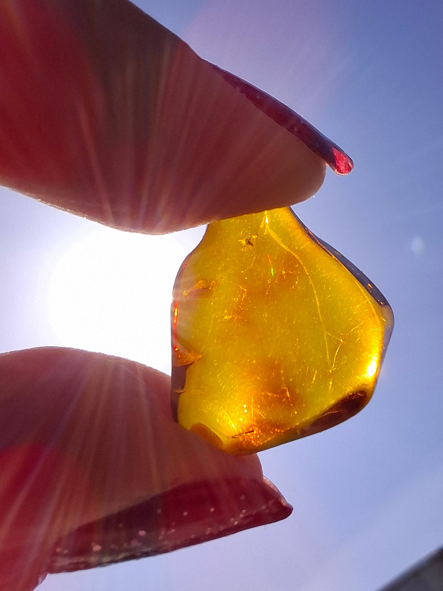Baltic Amber, 0.88g, Fossil (Ref: A254)