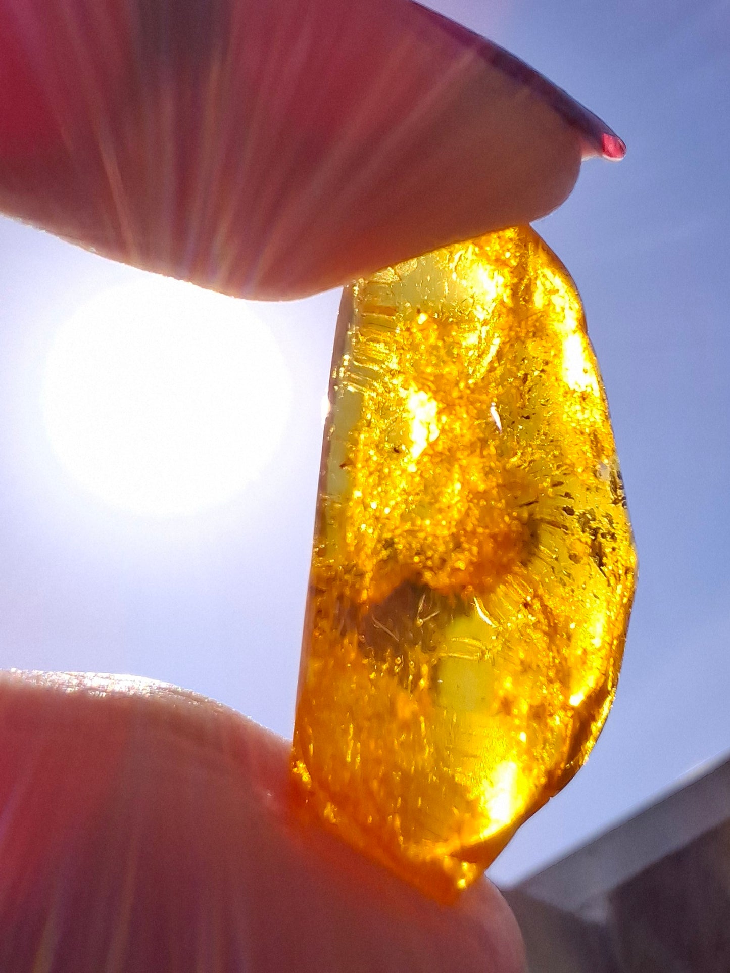 Baltic Amber, 1.39g, Fossil (Ref: A181)