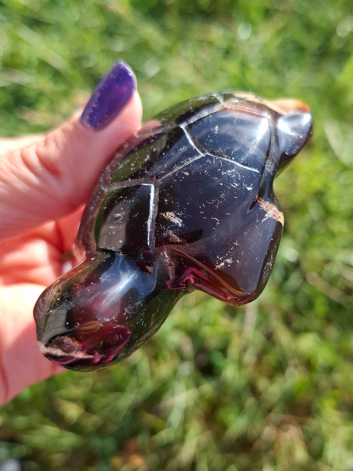 Red Amber Turtle, 56.87g, Carving, Fossil (Ref: TT2)