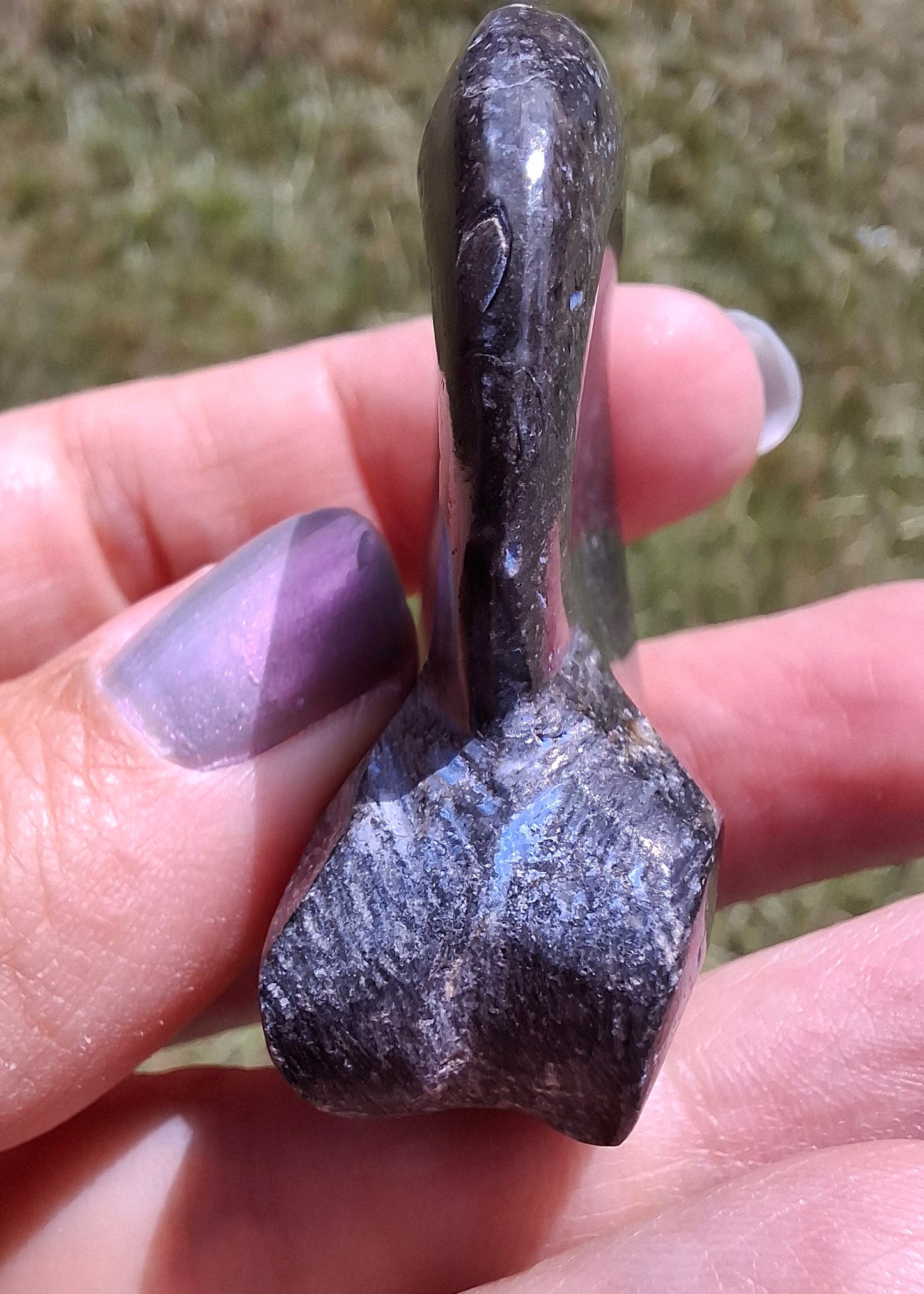 Goniatite, Fossil (Ref: GA8)