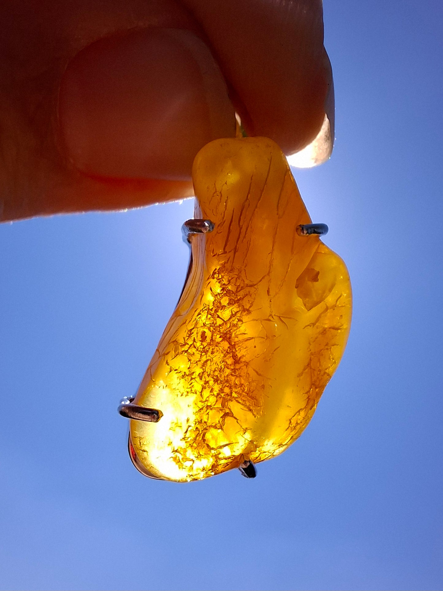 Baltic Amber Pendant, 925 Silver, Fossil (Ref: AP7)