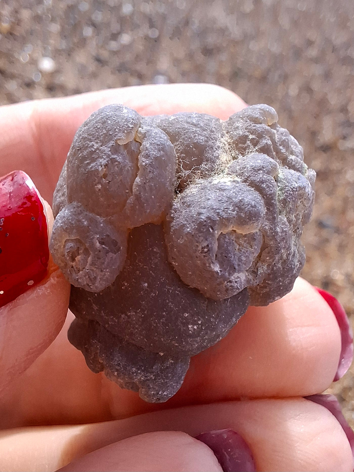 Nebula Chalcedony, 16.57g, Fossil (Ref: NC10)