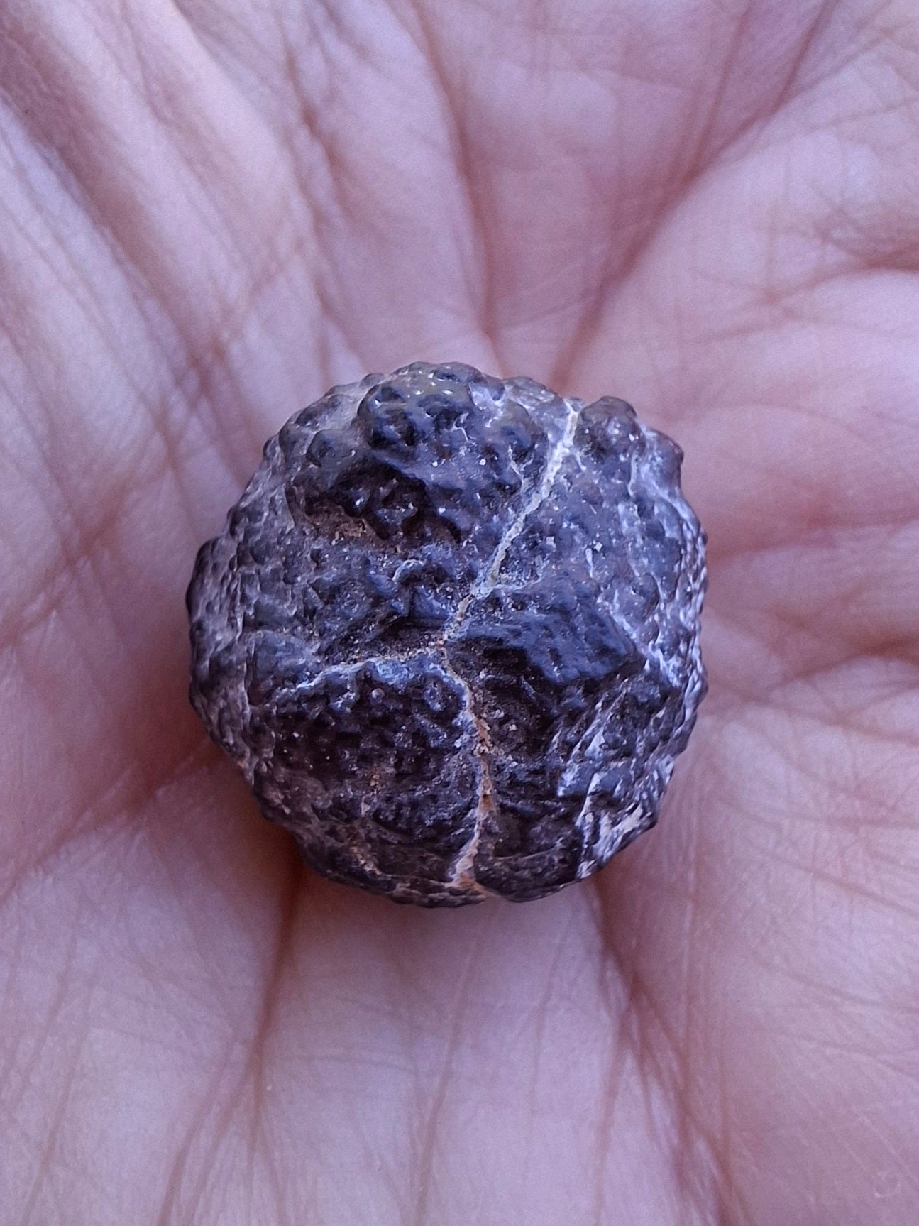 Prophecy Stone, 11.71g (Ref: PS19)