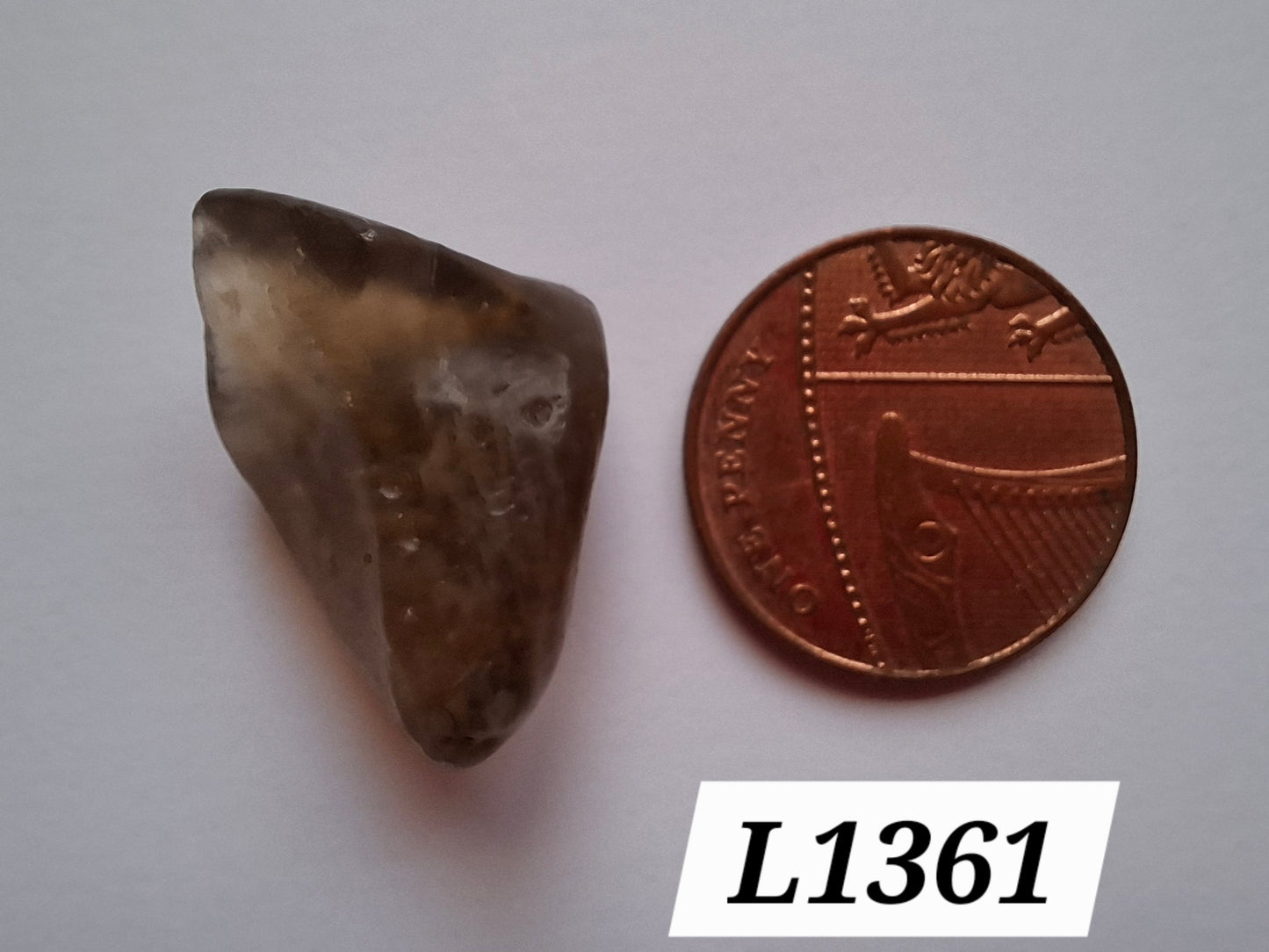 Libyan Desert Glass (darker) Piece, 4.43g, Tektite (Ref: L1361)