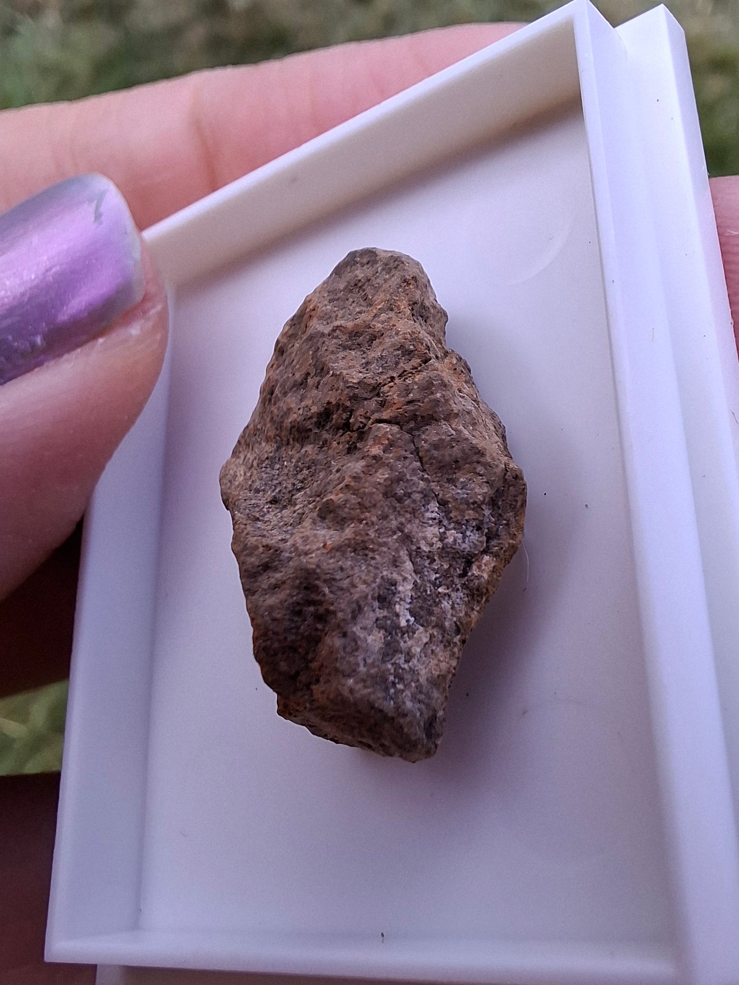 Chondrite, Meteorite (Ref: CM7)