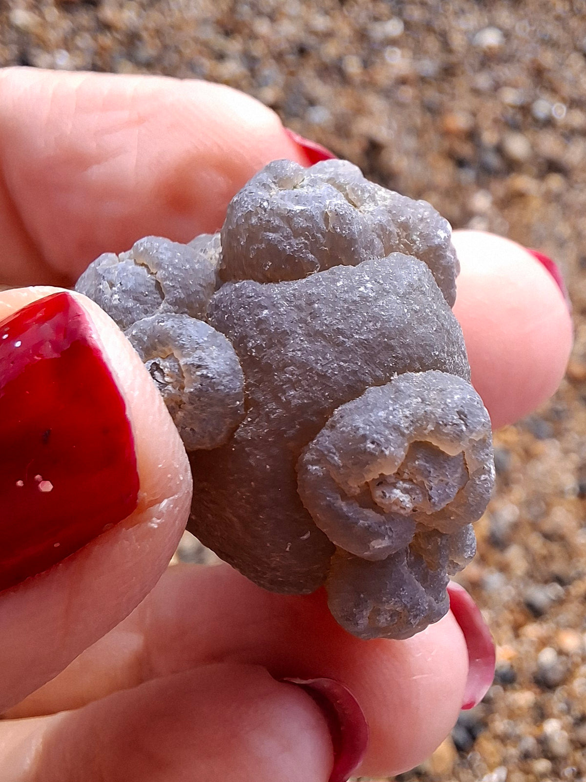 Nebula Chalcedony, 16.57g, Fossil (Ref: NC10)