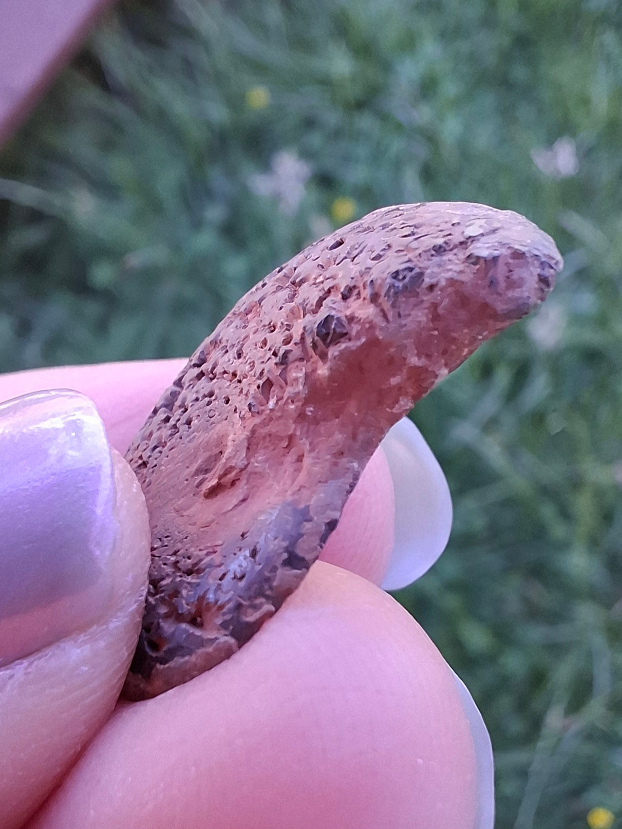 Small Haematite Ammonite HALF, 2.55g, Fossil (Ref: MA8)