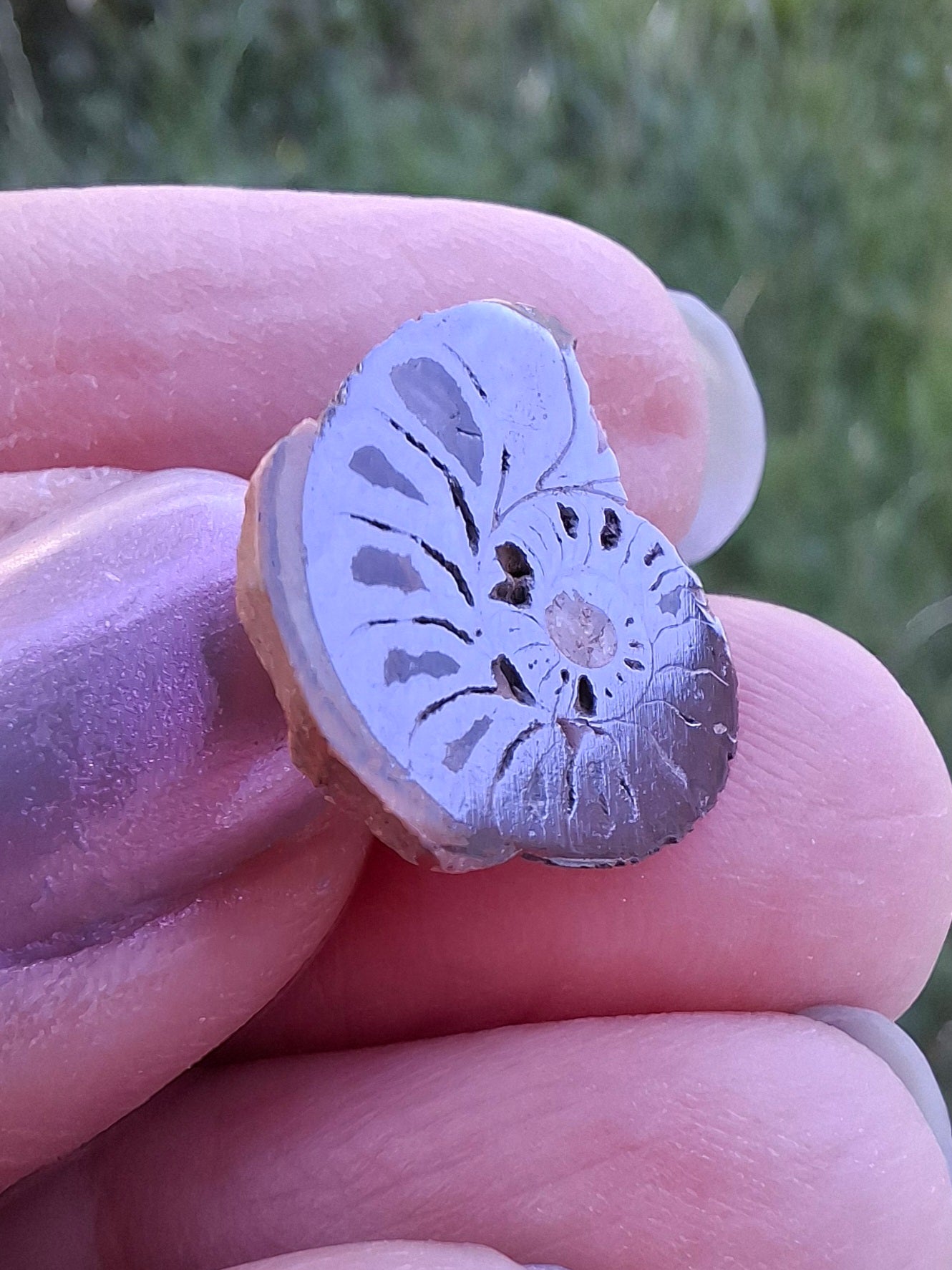 Small Haematite Ammonite HALF, 1.32g, Fossil (Ref: MA5)