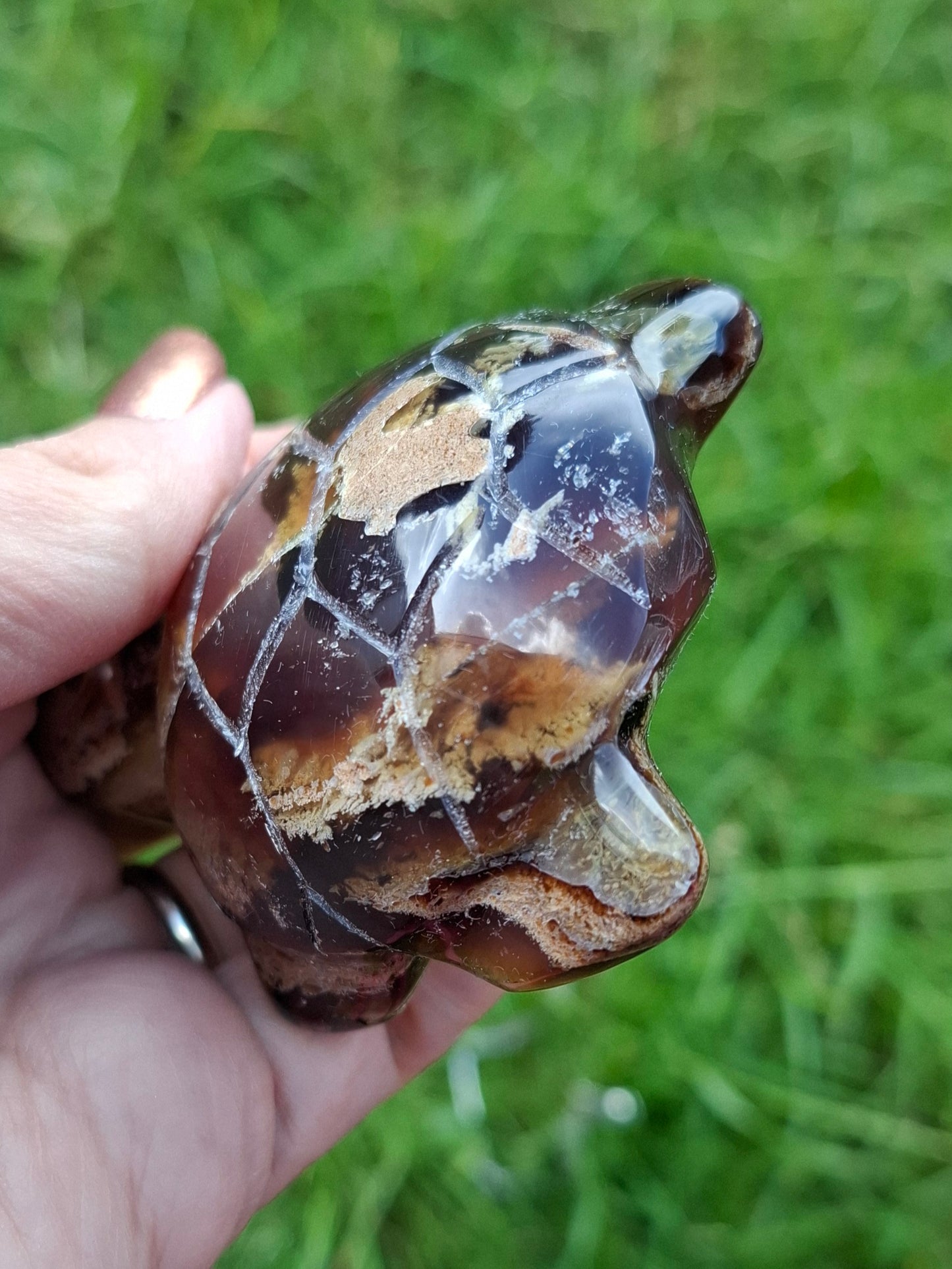 Red Amber Turtle, 56.87g, Carving, Fossil (Ref:TT7)