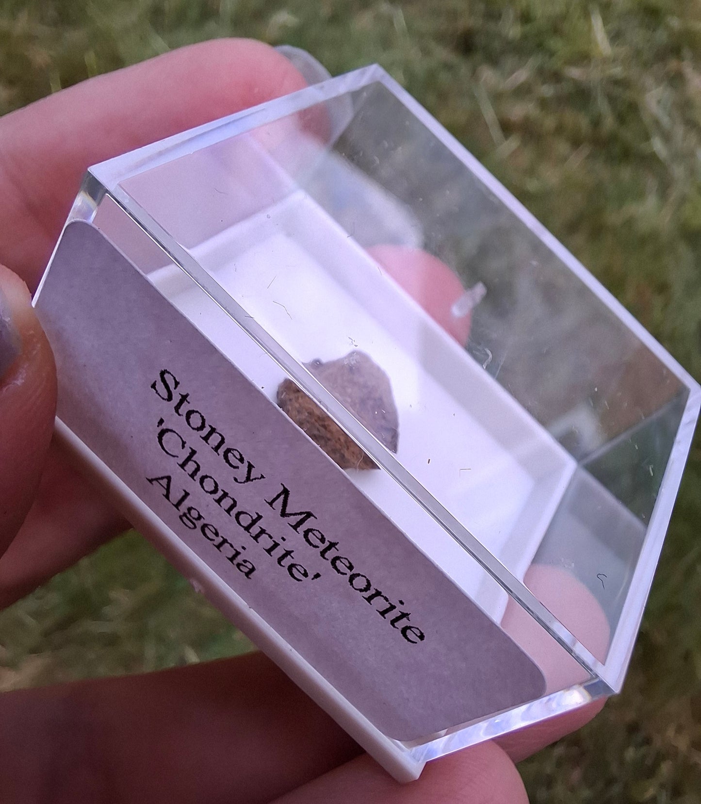 Chondrite, Meteorite (Ref: CM9)